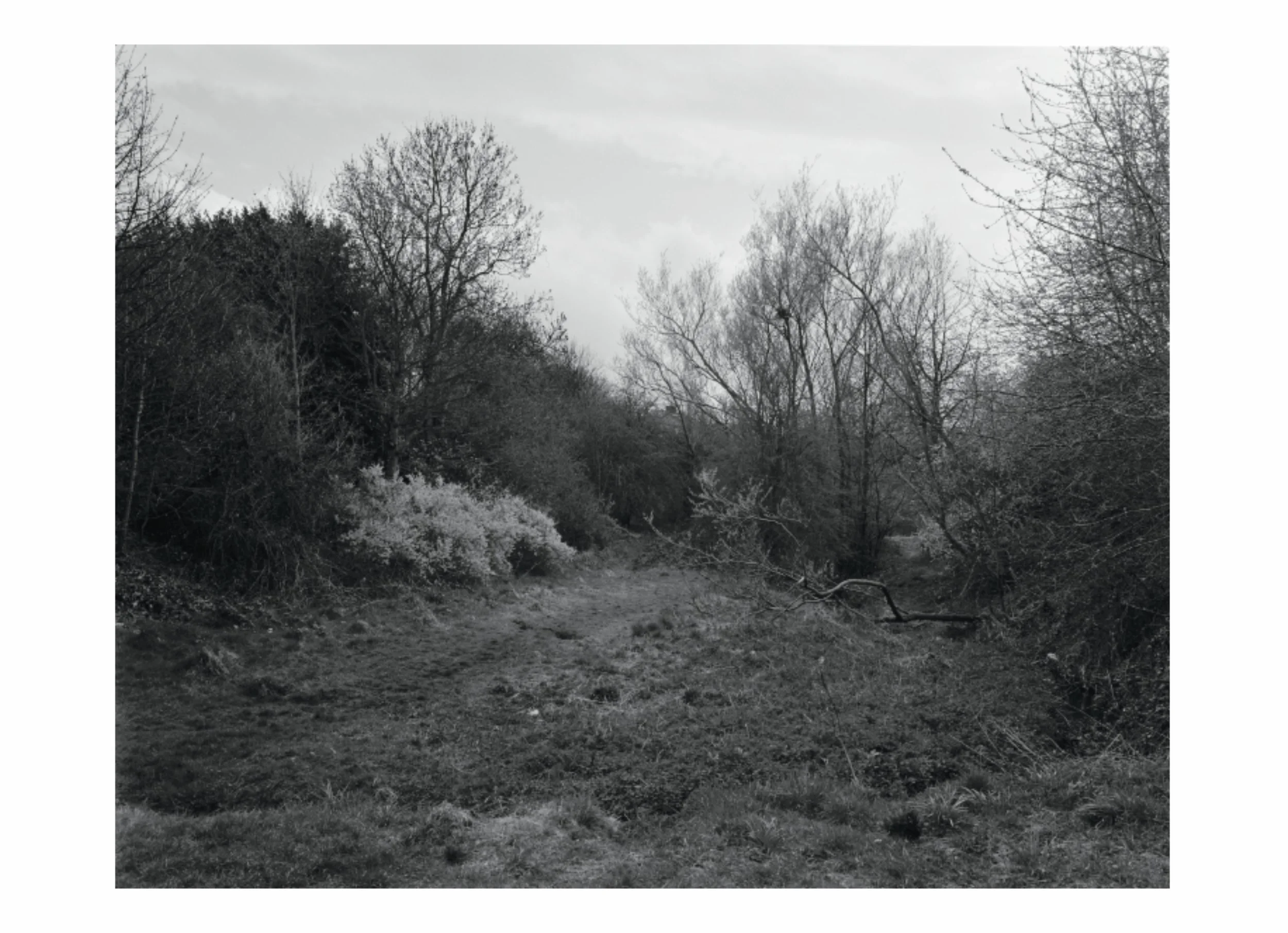 lttmoww B layout 14.5x21cm final NEW_135.jpg