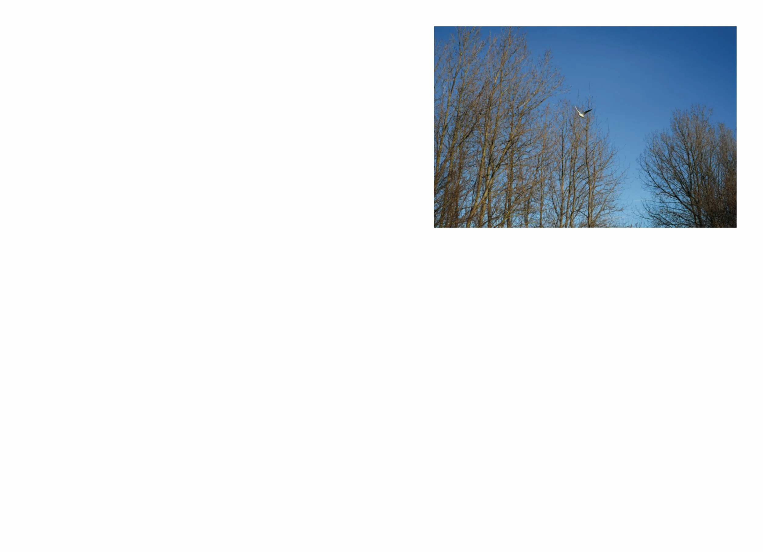 lttmoww B layout 14.5x21cm final NEW_47.jpg