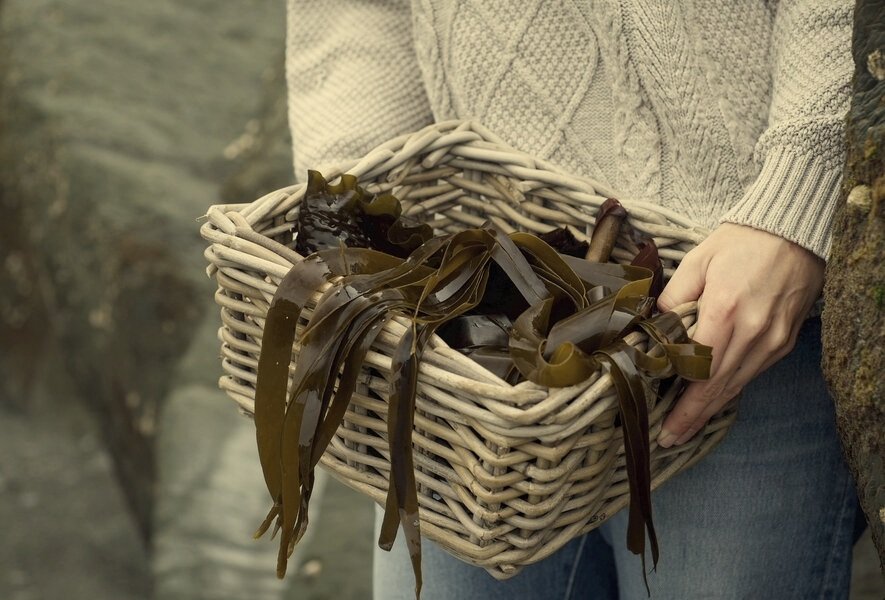 The Secret Culinary Society of Seaweed