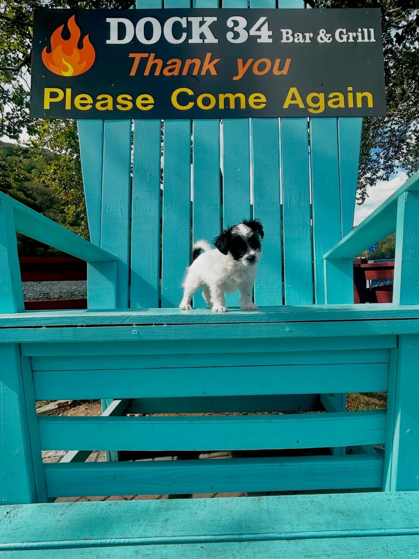 We&rsquo;re dog people 🐶 🔥 

Connecticut restaurant, dog friendly finds CT, waterfront dining, best dinner near me, unique date night spots, Seymour night life, Riverview restaurant, places to eat in ct, ct foodie, summer vibes, outdoor dining, foo