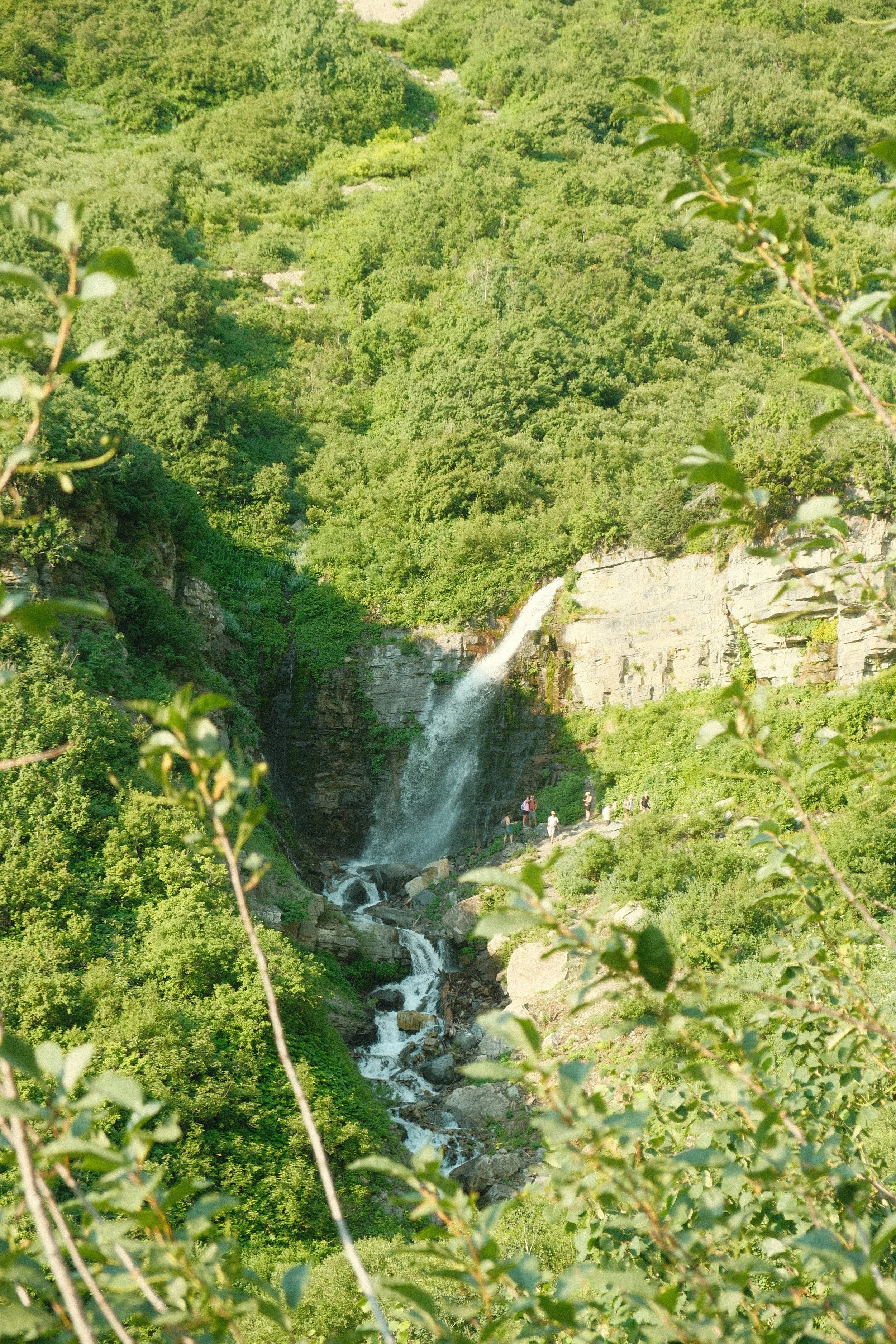 DSCF0005.JPG