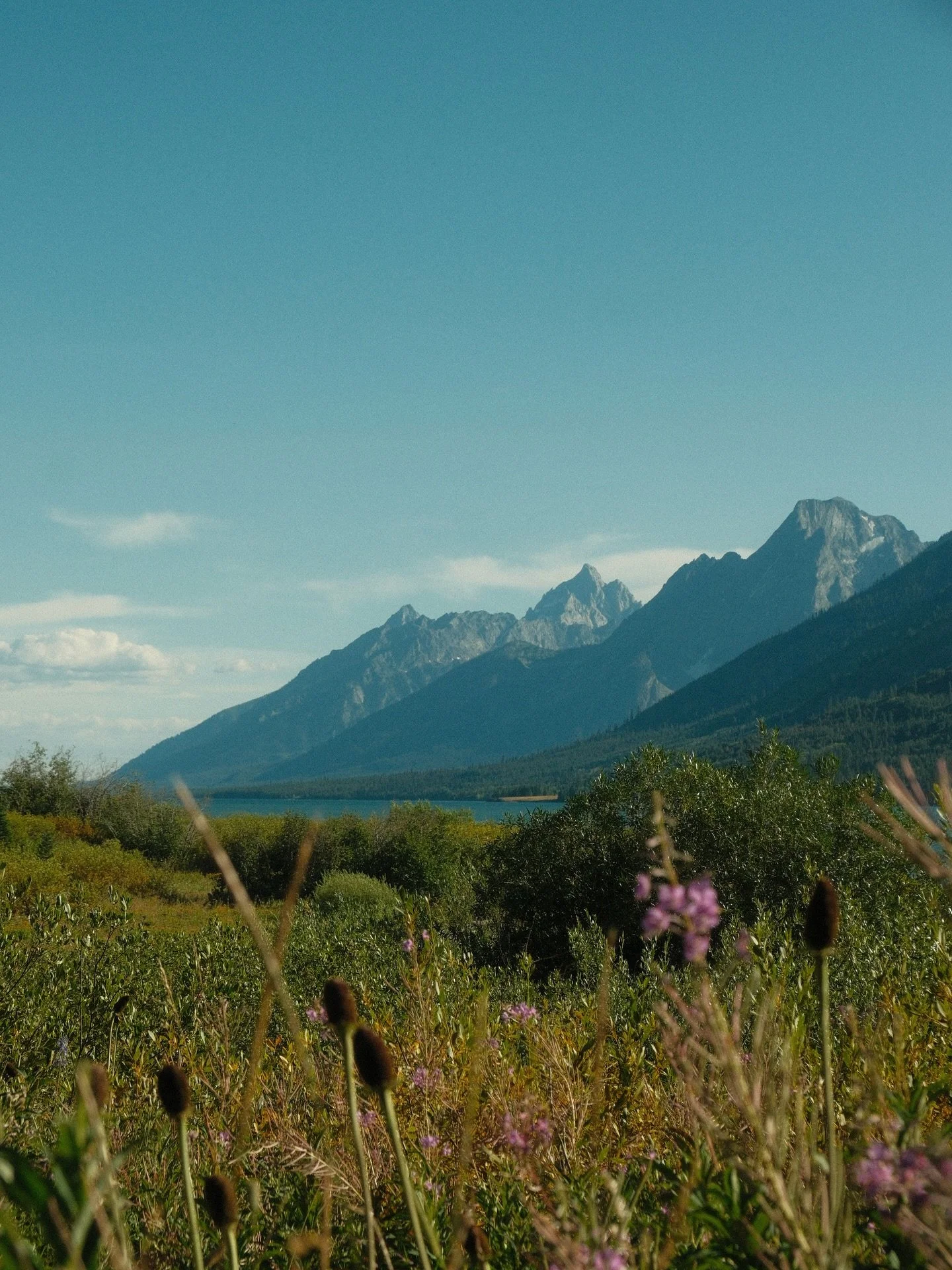 Clinging to Summer for dear life 🥲🏔️🌞🌅

(sorry I posted this like 5000 times :D but like why does IG compress everything) 

#tetons #grandtetonnps #wyoming #mountainlife #summeradventures