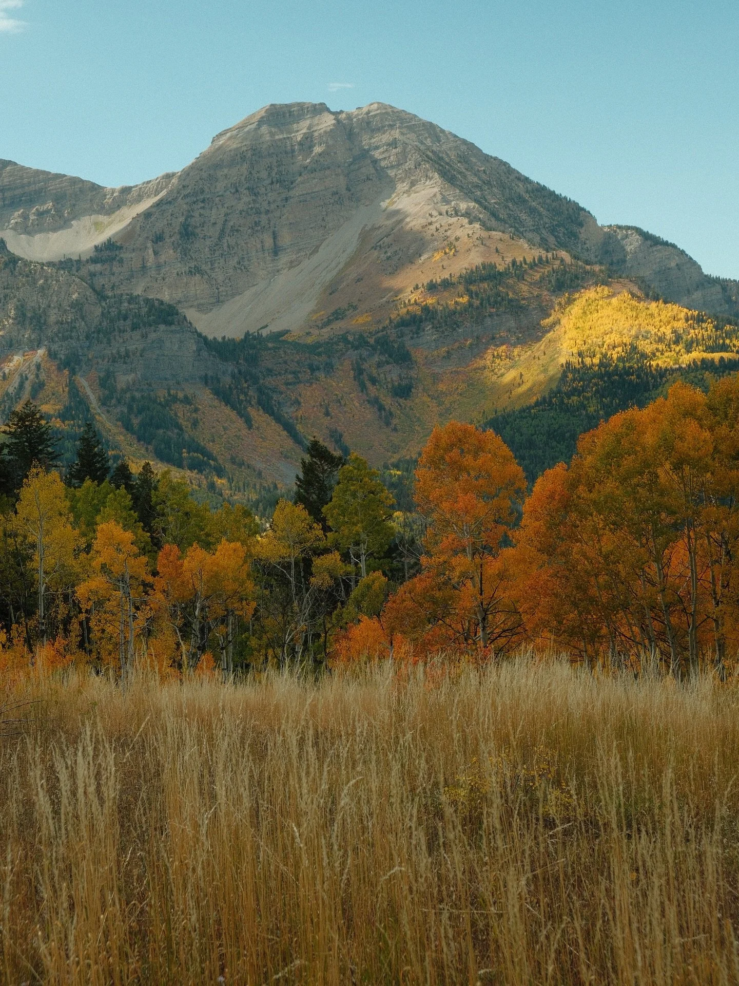 Been hiking around looking at the fall colors and stuff :D 

Utah is unmatched, sorry. 

#fallinutah #utah #trailviews #hikingculture #fallcolors #mountainlife