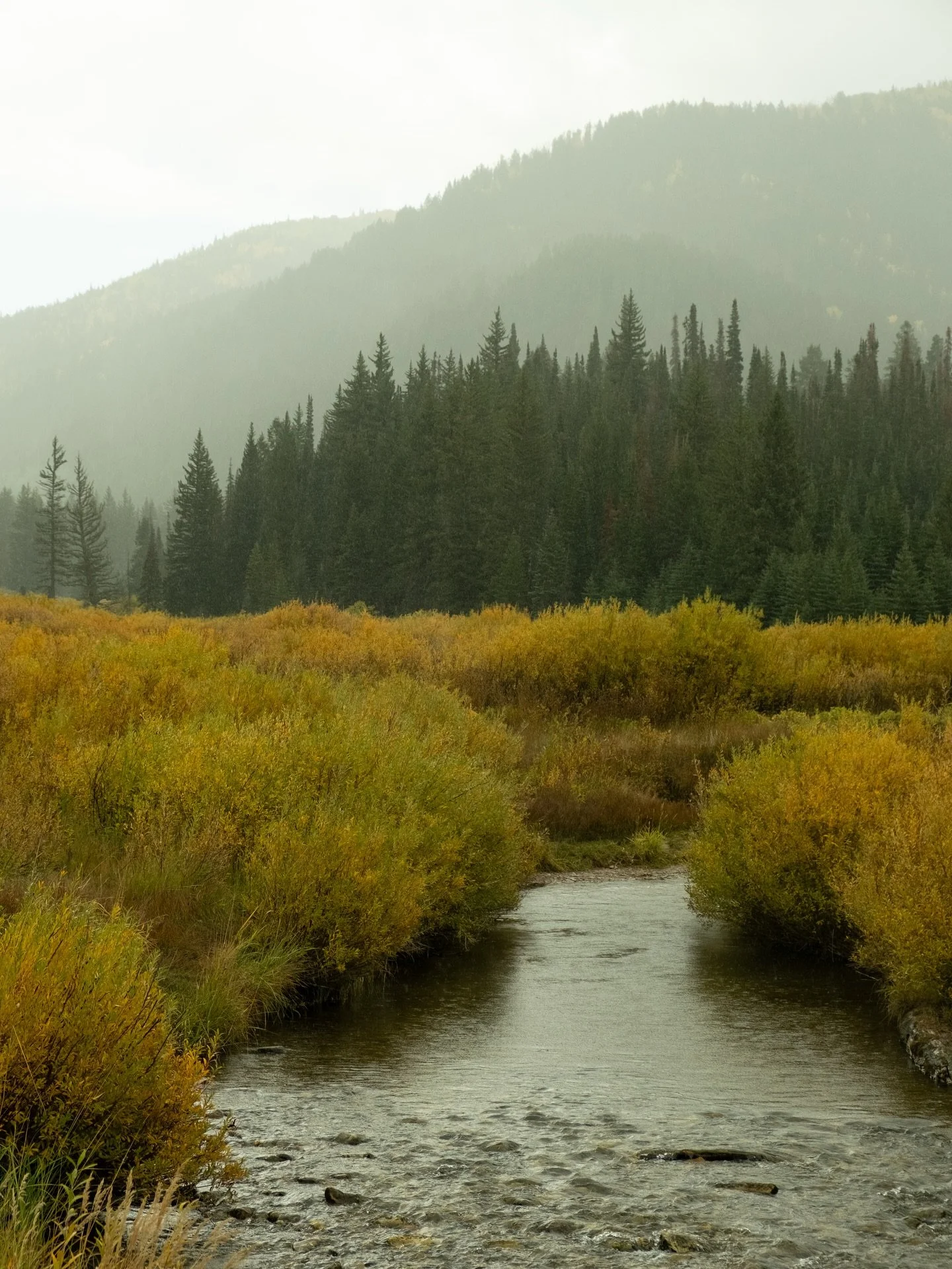 Okay last major photo dump of all our hikes in the fall colors bc my camera roll is full of autumn goodies and bc we&rsquo;re quickly approaching Winter. No really, Park City was covered this morning and I kinda love it 🤍🌨️❄️

&bull;
&bull;
#fallin