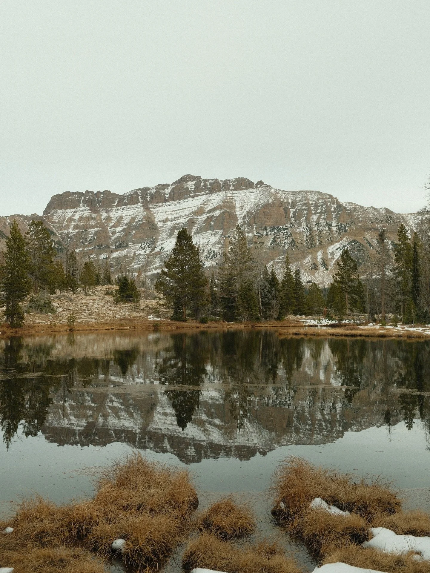 I love Fwinter (what @heyoliviareed calls it!) 🍂🏔️

&bull;
&bull;
#winterhiking #winterhikes #utahlife #utahliving #uintas #smmtoutdoor #smmt #mountainlife #mountaingear #mountainliving