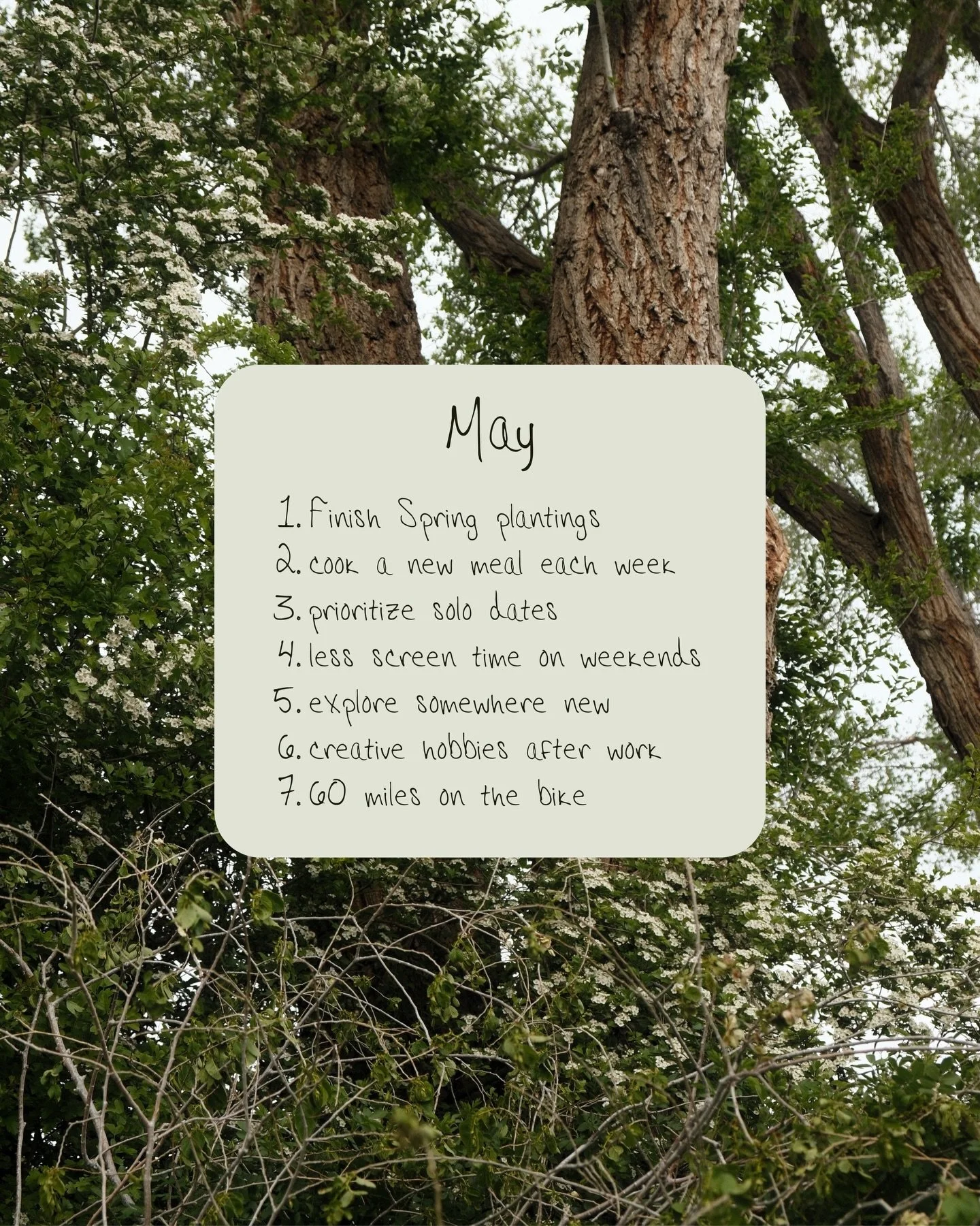 May plans &hellip; 💭

(If you support the data center being built in UT delete me) 

#may #springvibes