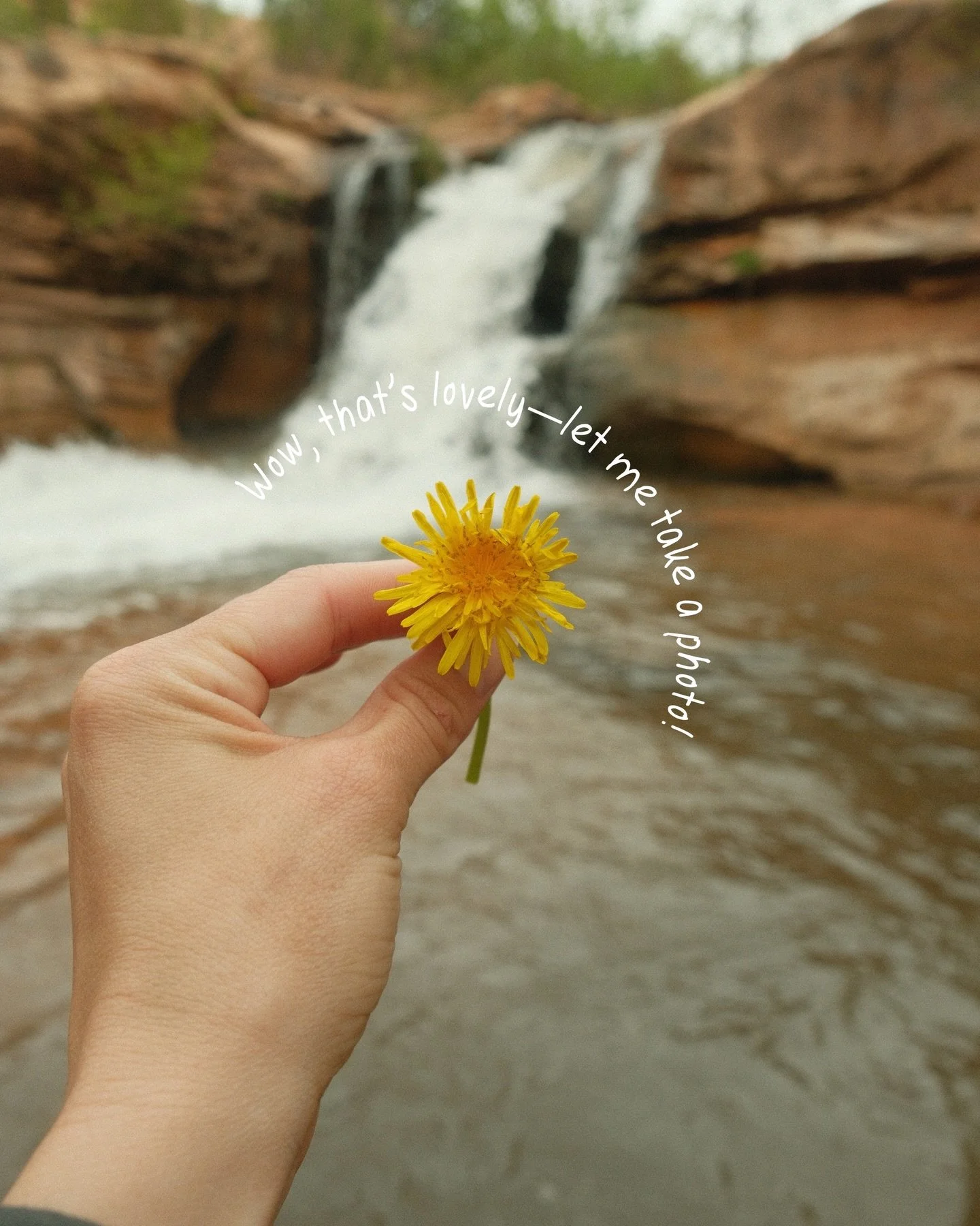 My weekly round up of things that I found lovely in hopes to rekindle my passion for noticing (and romanticizing) the small and everyday moments, because they are fleeting (and believe it or not they mean the most!) 

#photodump #weeklyroundup #theli
