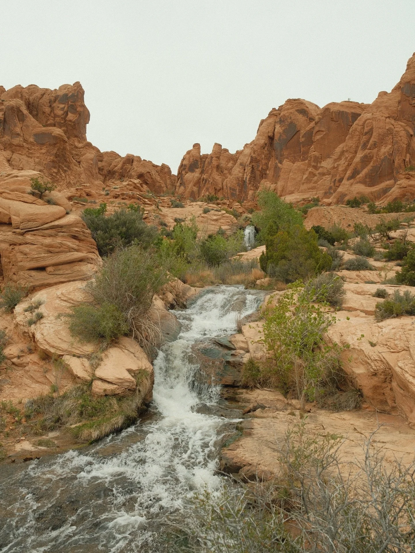 Weekend warrior mode: activated 🌵🏜️

#desertdwellers #southernutah