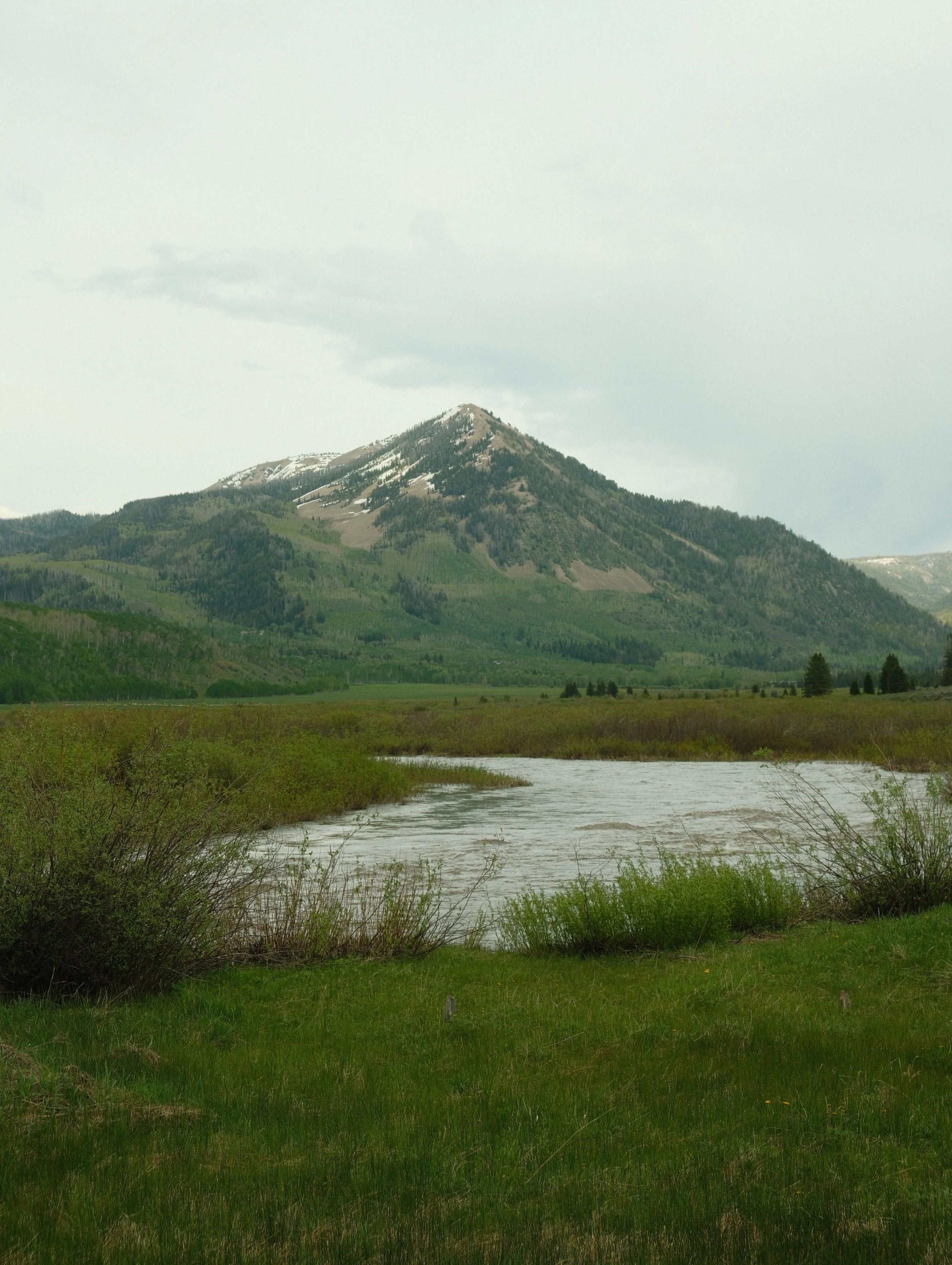 DSCF0890.jpg