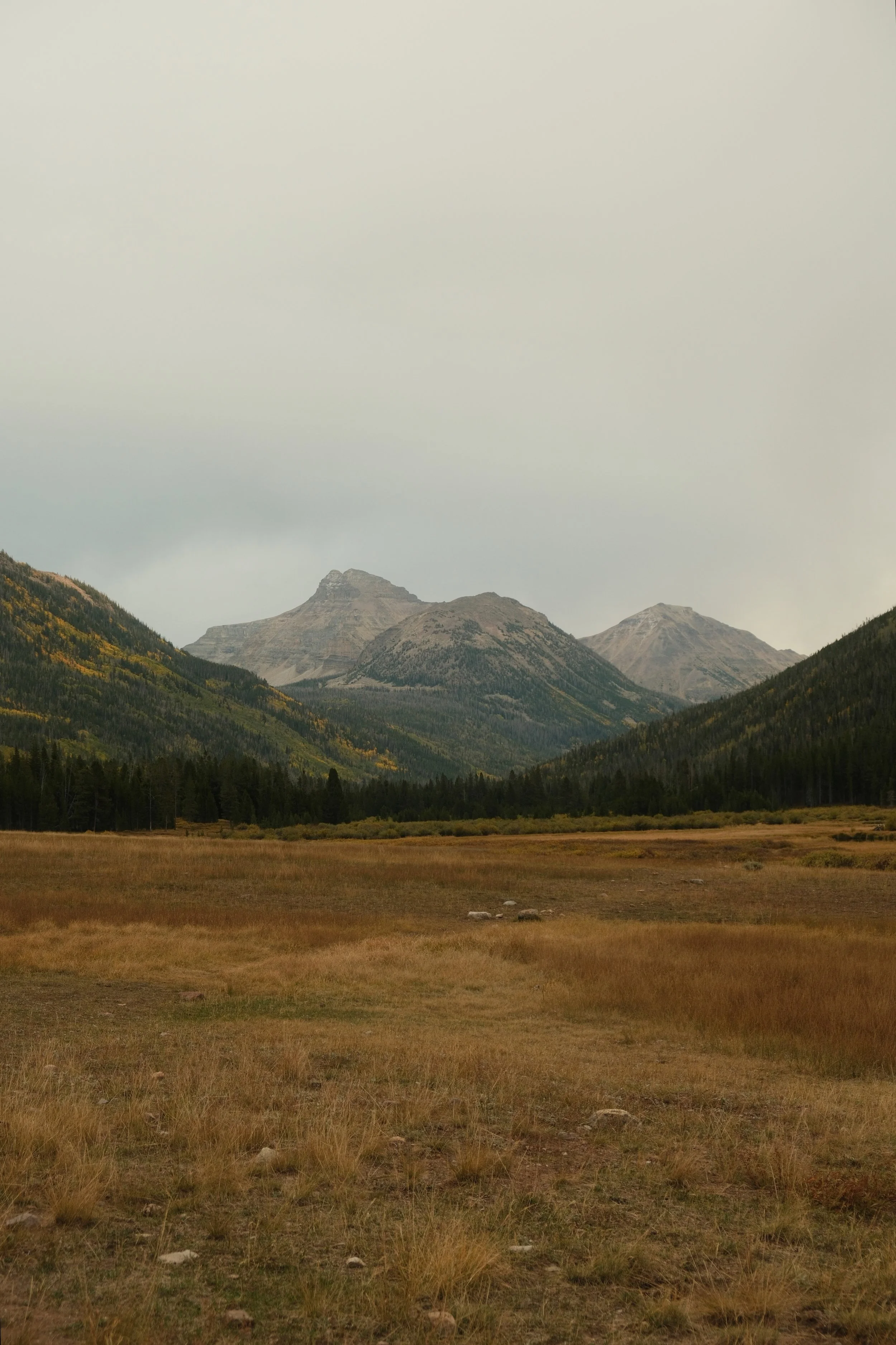 DSCF0939.jpg