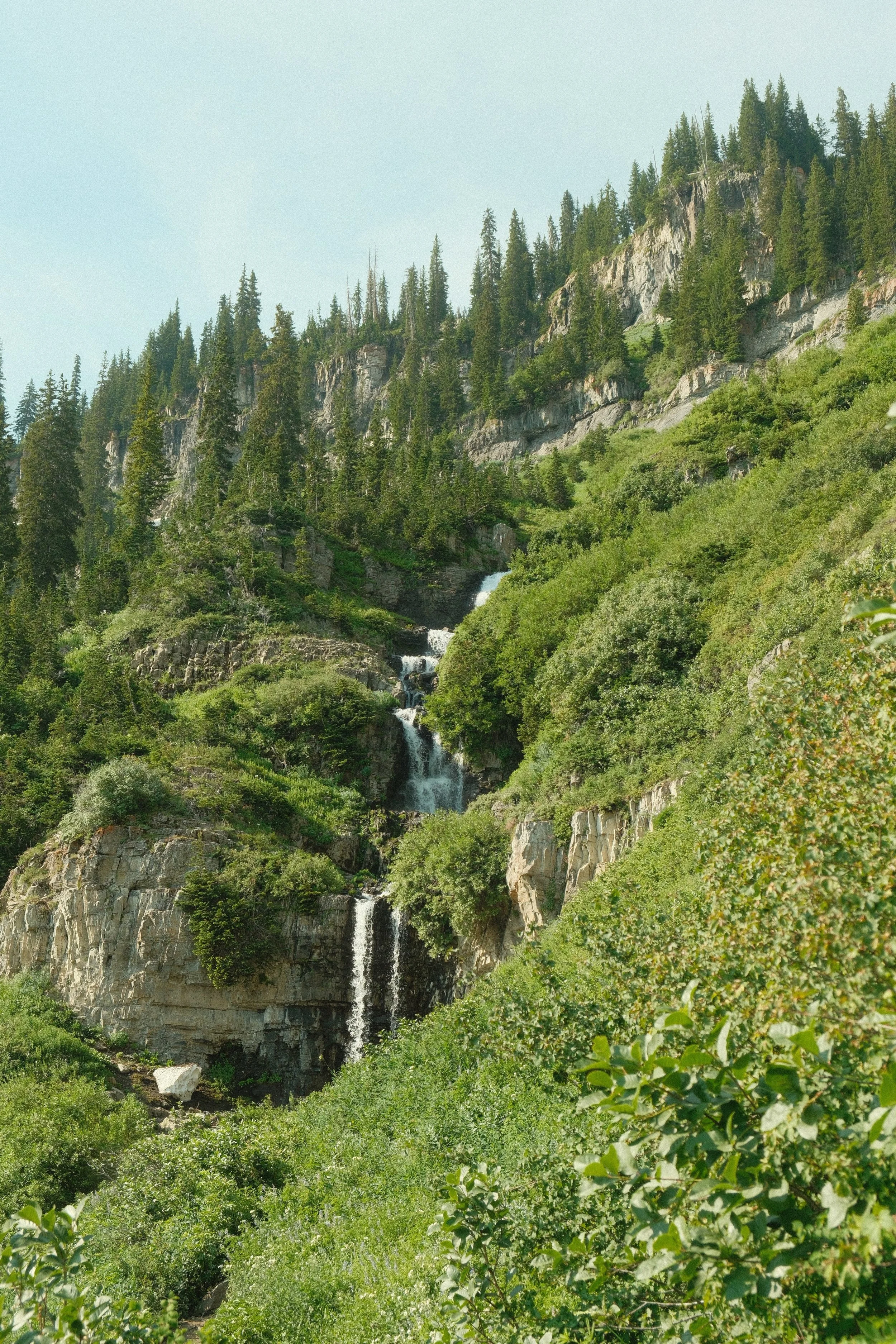 DSCF0023.jpg
