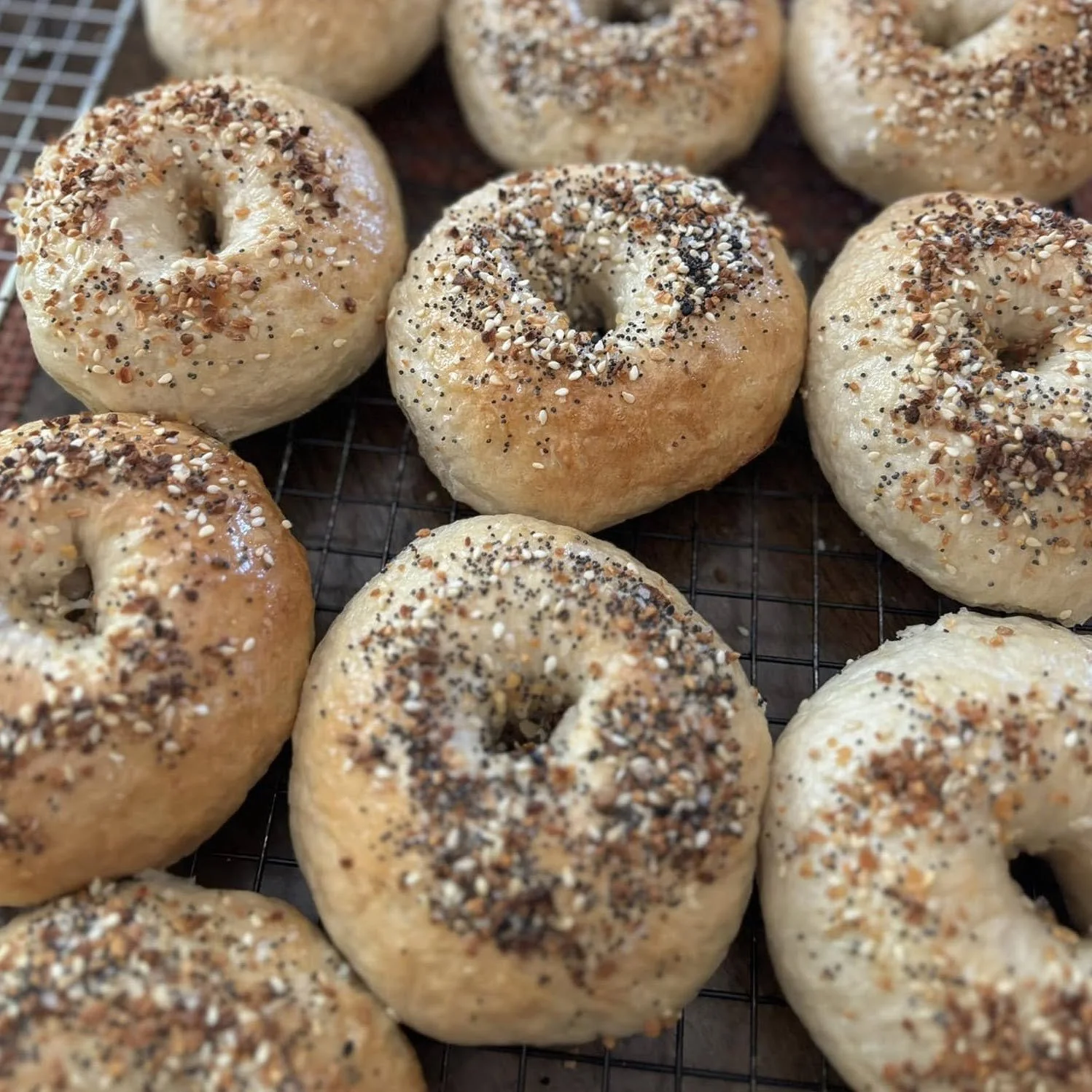 Homemade, Everything Bagel - Fresh out of the oven!