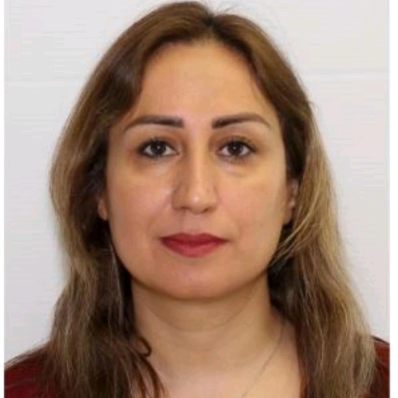 Zeinab Aalipour