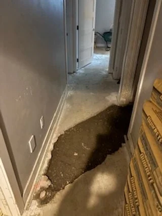 Basement Water Infiltration & Drainage Assessment – Calgary, AB