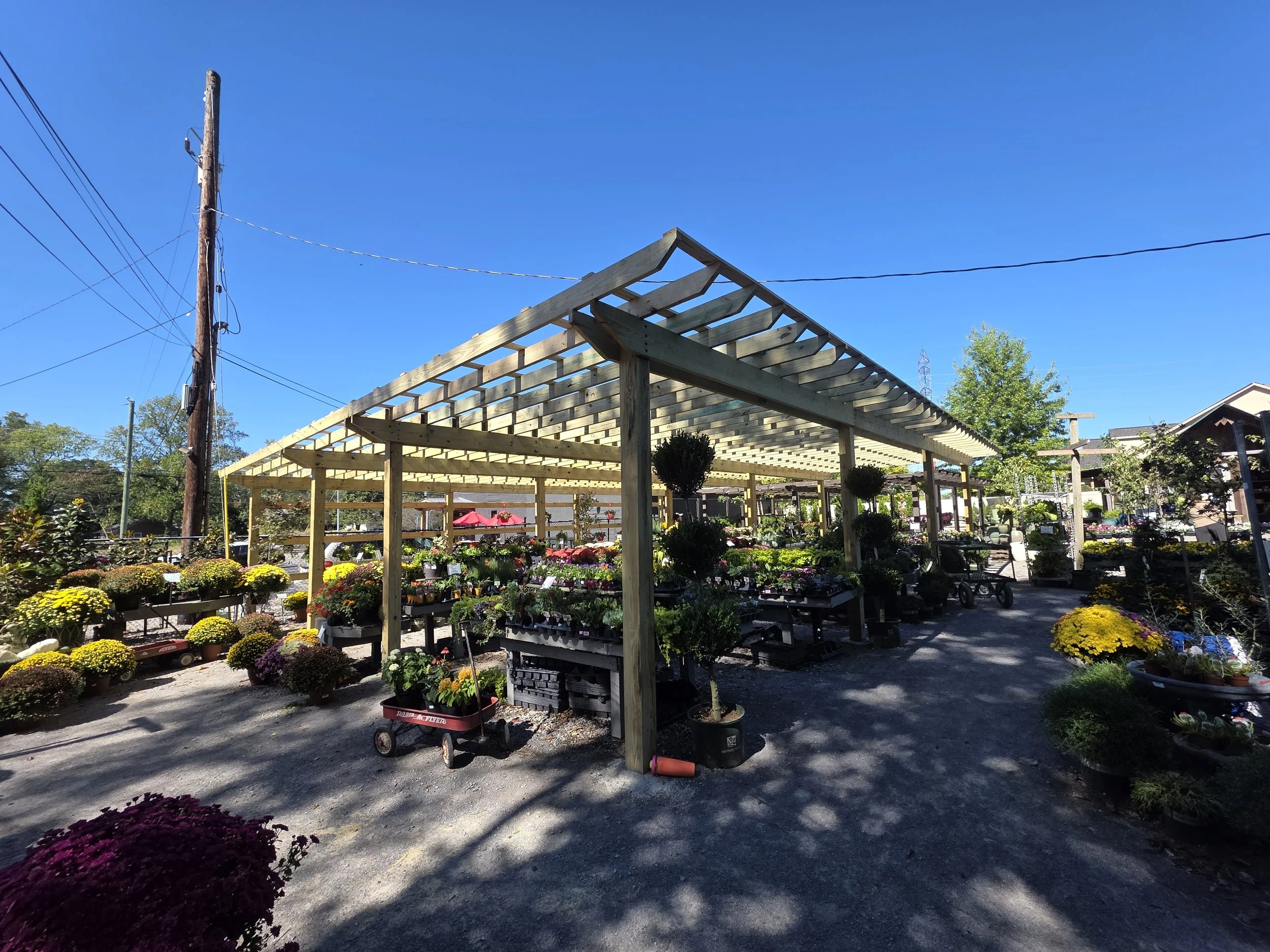 A garden center with a wooden pergola structure, various potted plants, and flowers, under a clear blue sky.