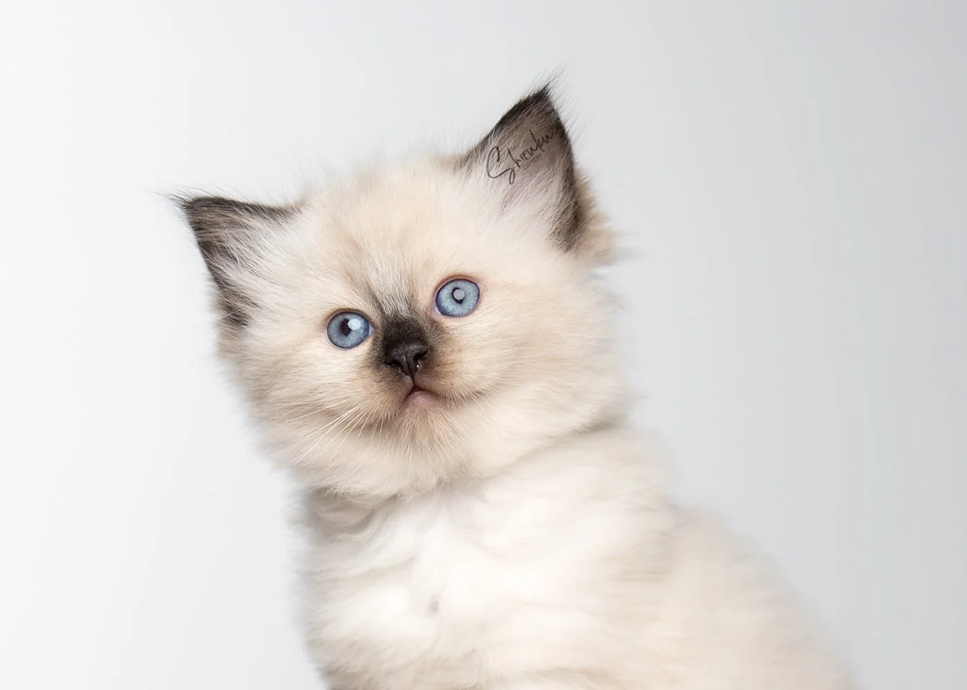 Madeleine 6 weeks