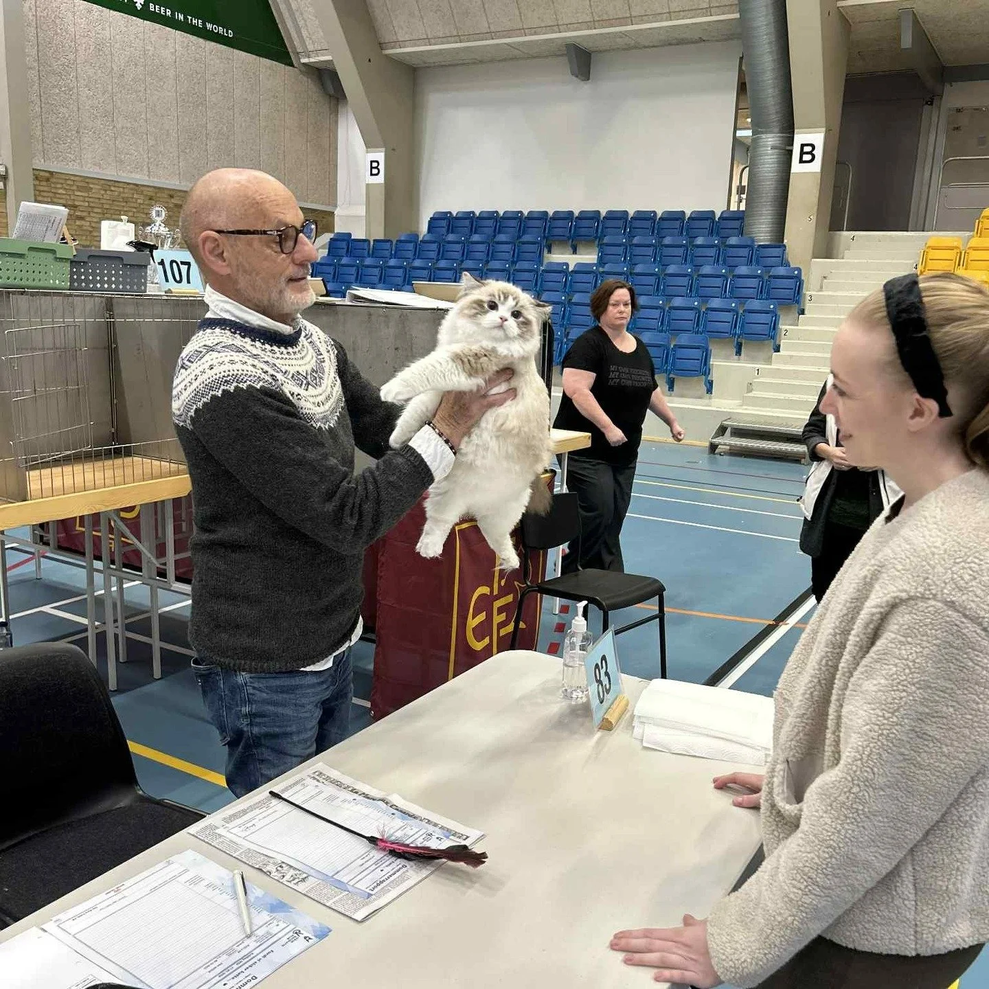 ⭐️⭐️ 2 x KITTEN CHAMPIONS and a BOB 2 ⭐️⭐️

The second time we brought the three little fluffballs to a show - and it went absolutely amazing 🥳🤩

We did get told off a bit for poor grooming, which I was already aware of, as I simply haven&rsquo;t h
