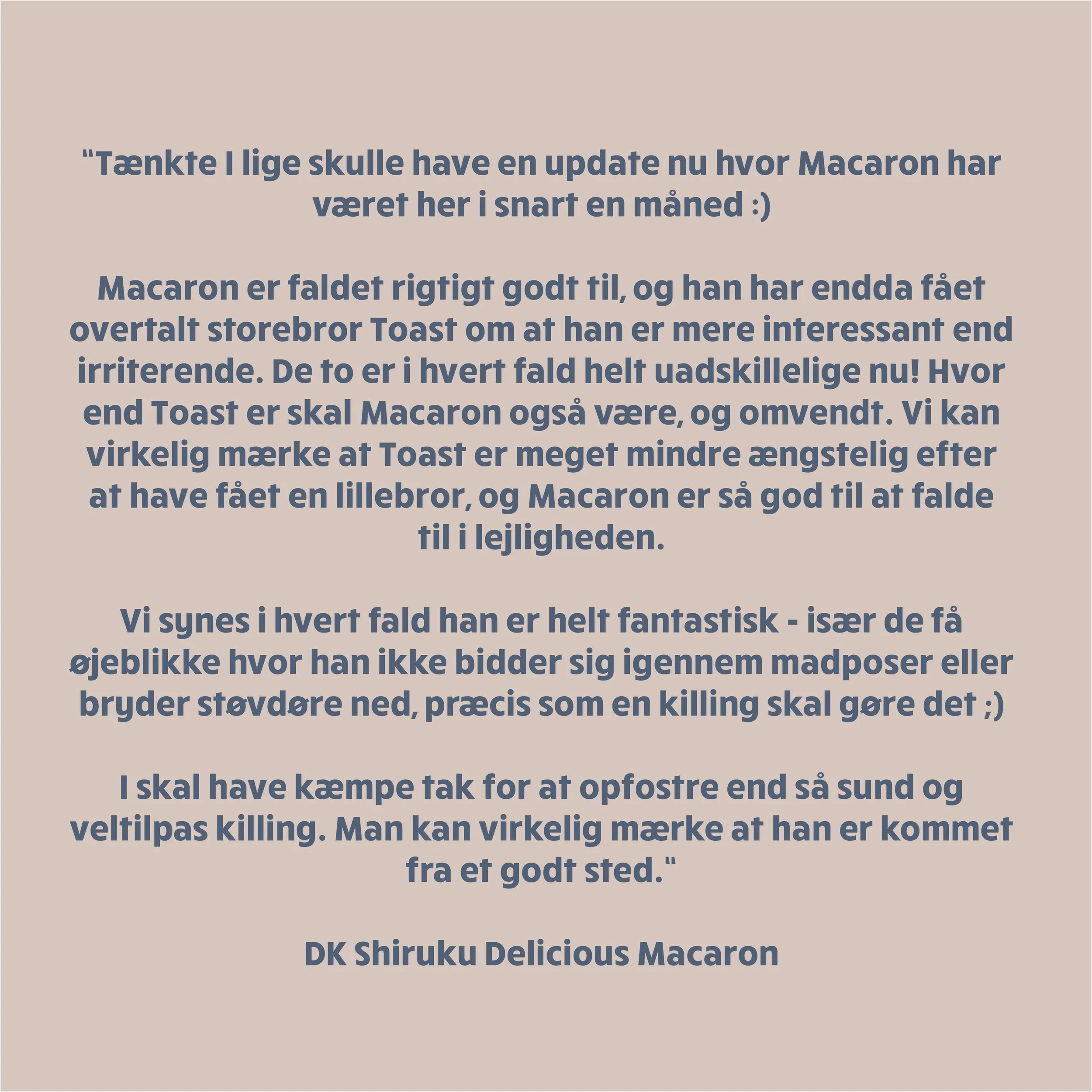 DK Shiruku Delicious Macaron