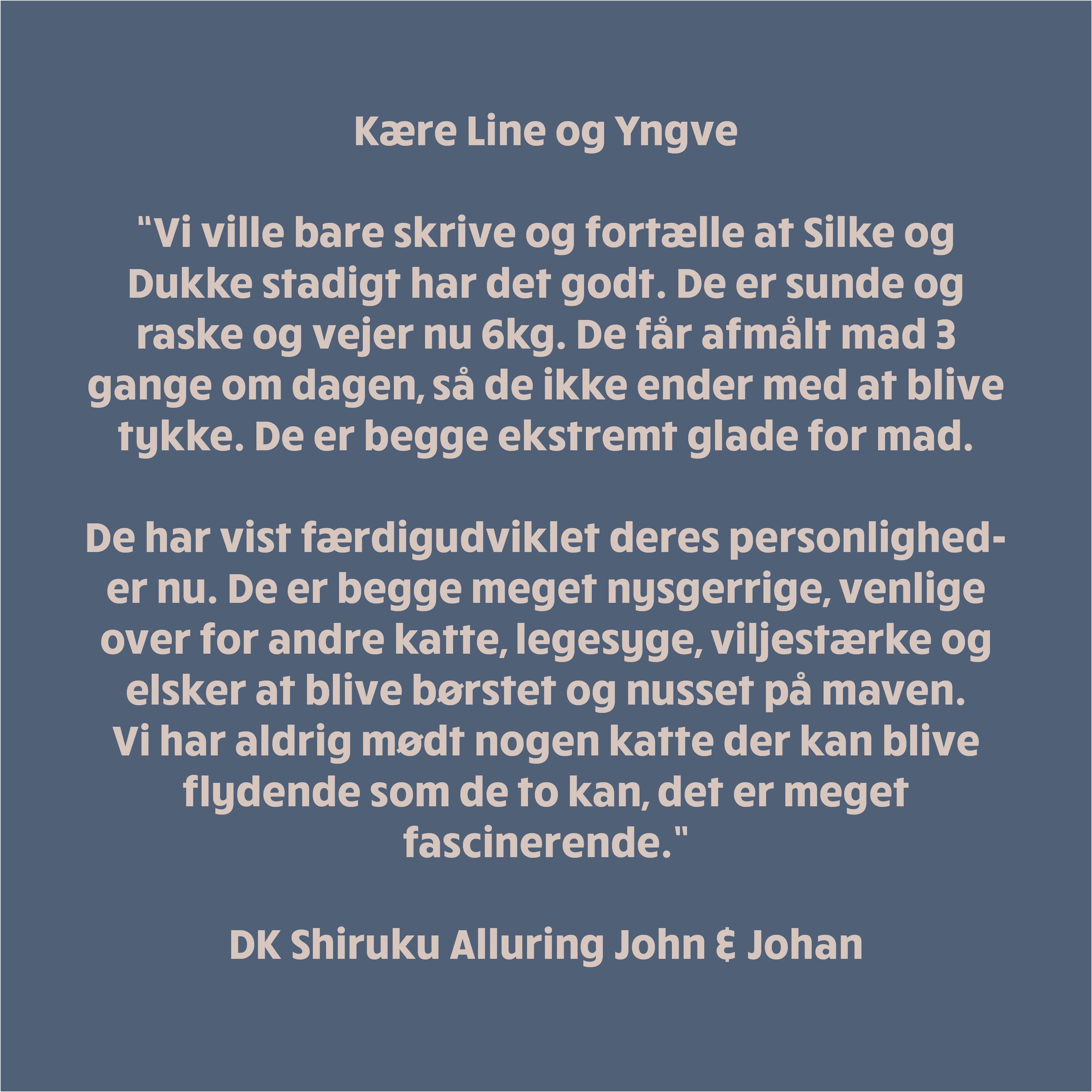 tekst04.jpg