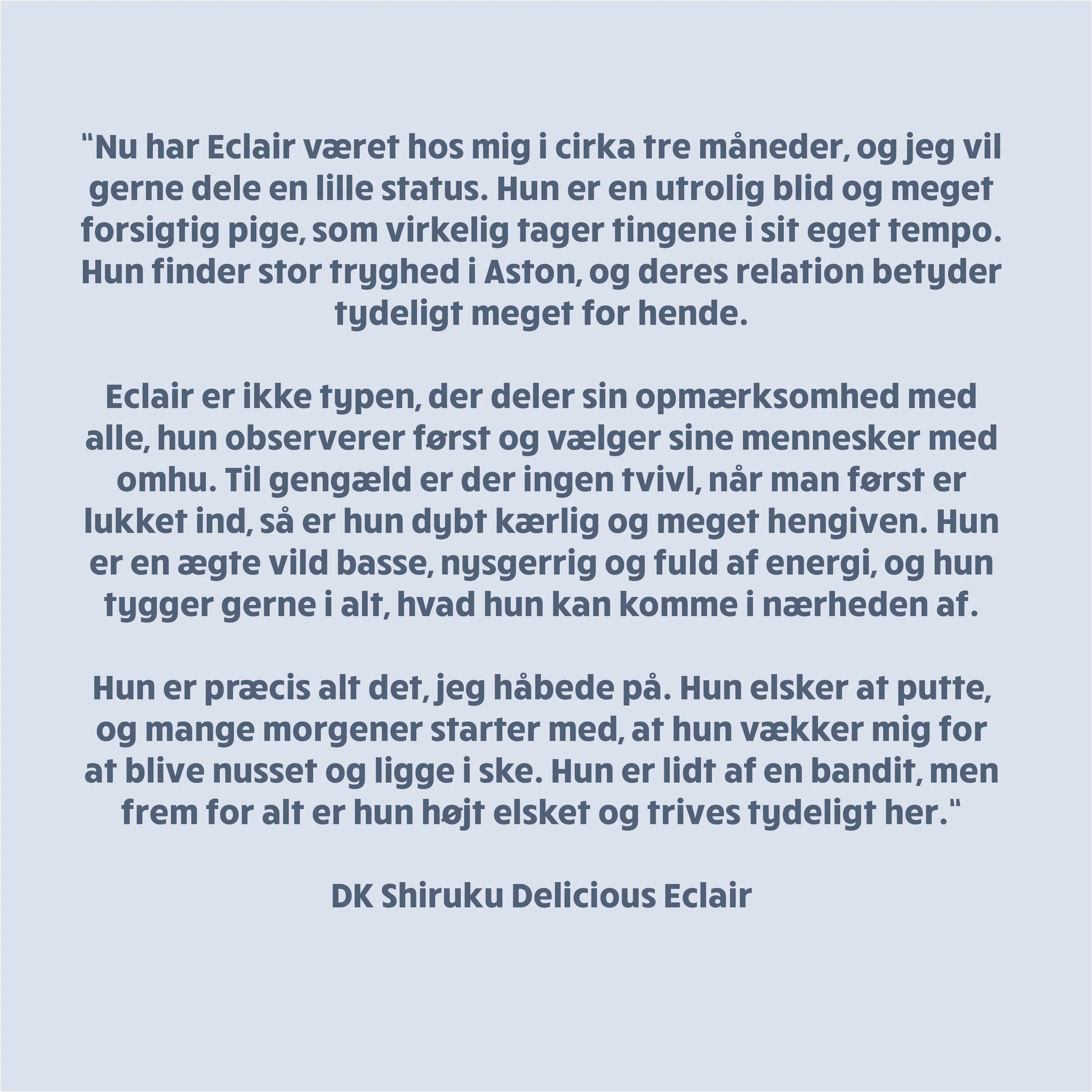 DK Shiruku Delicious Eclair