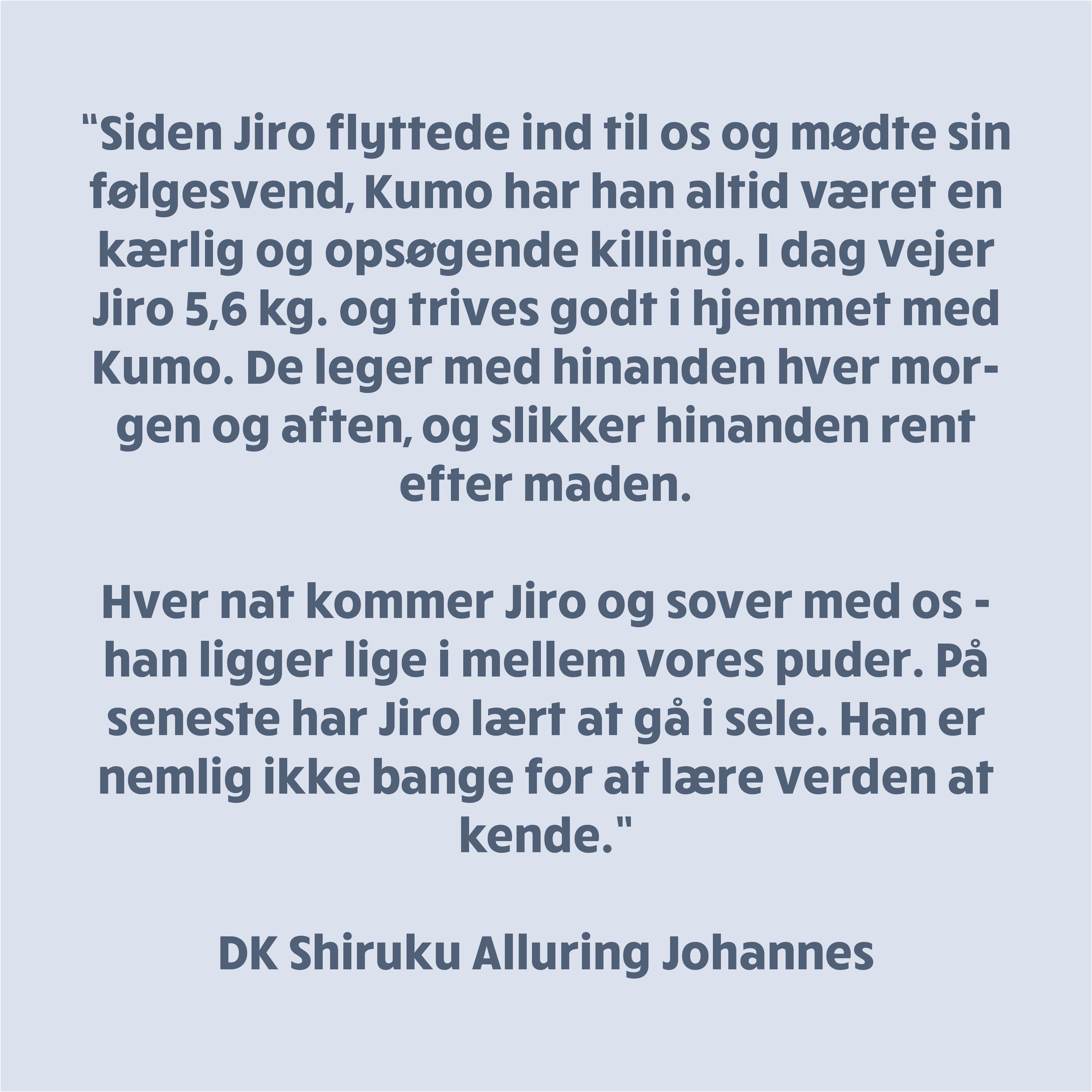 tekst03.jpg