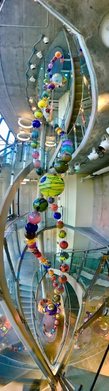 Genome_Children_s Mercy_2017 002.jpeg