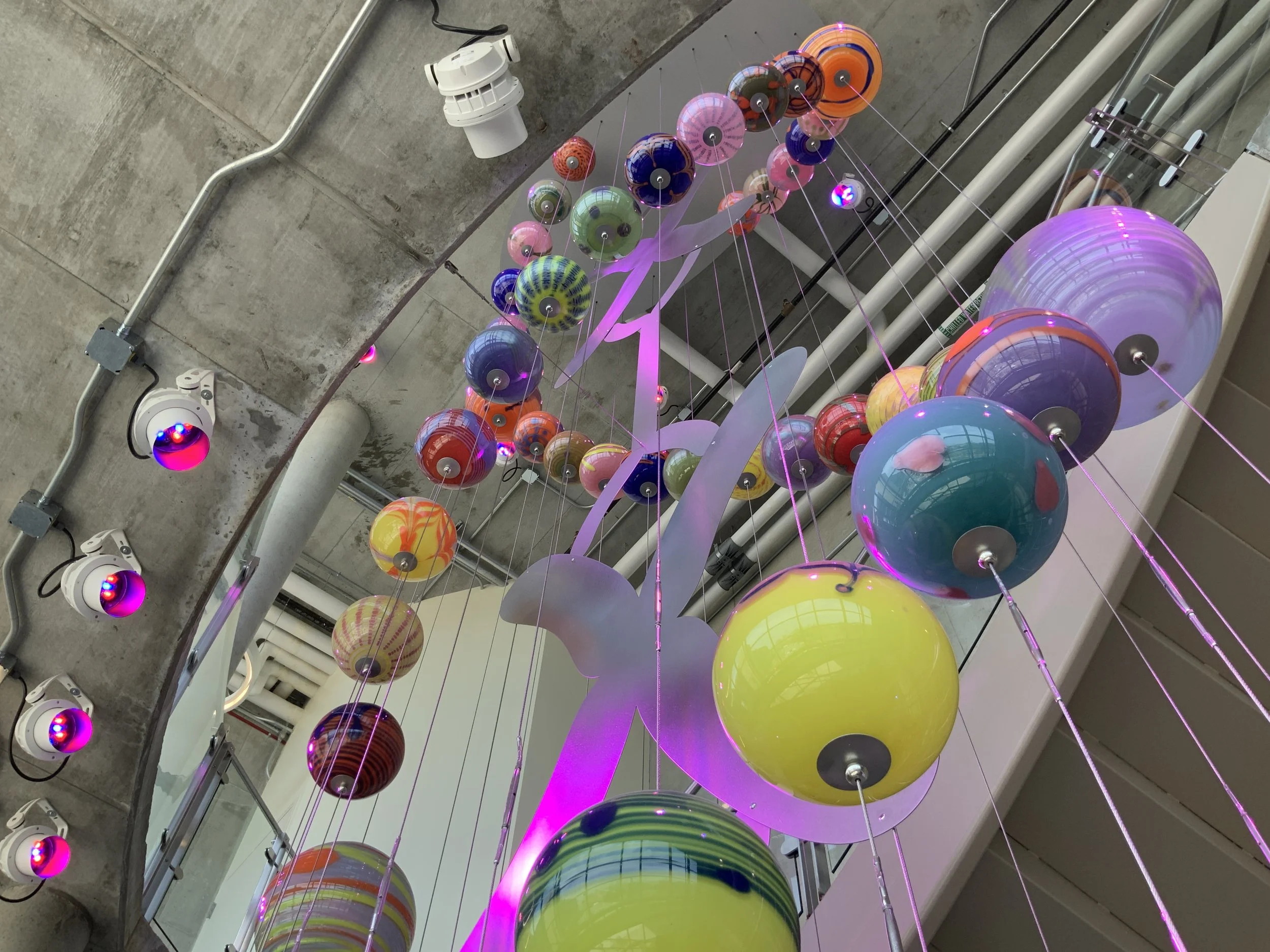 Genome_Children_s Mercy_2017 004.JPG