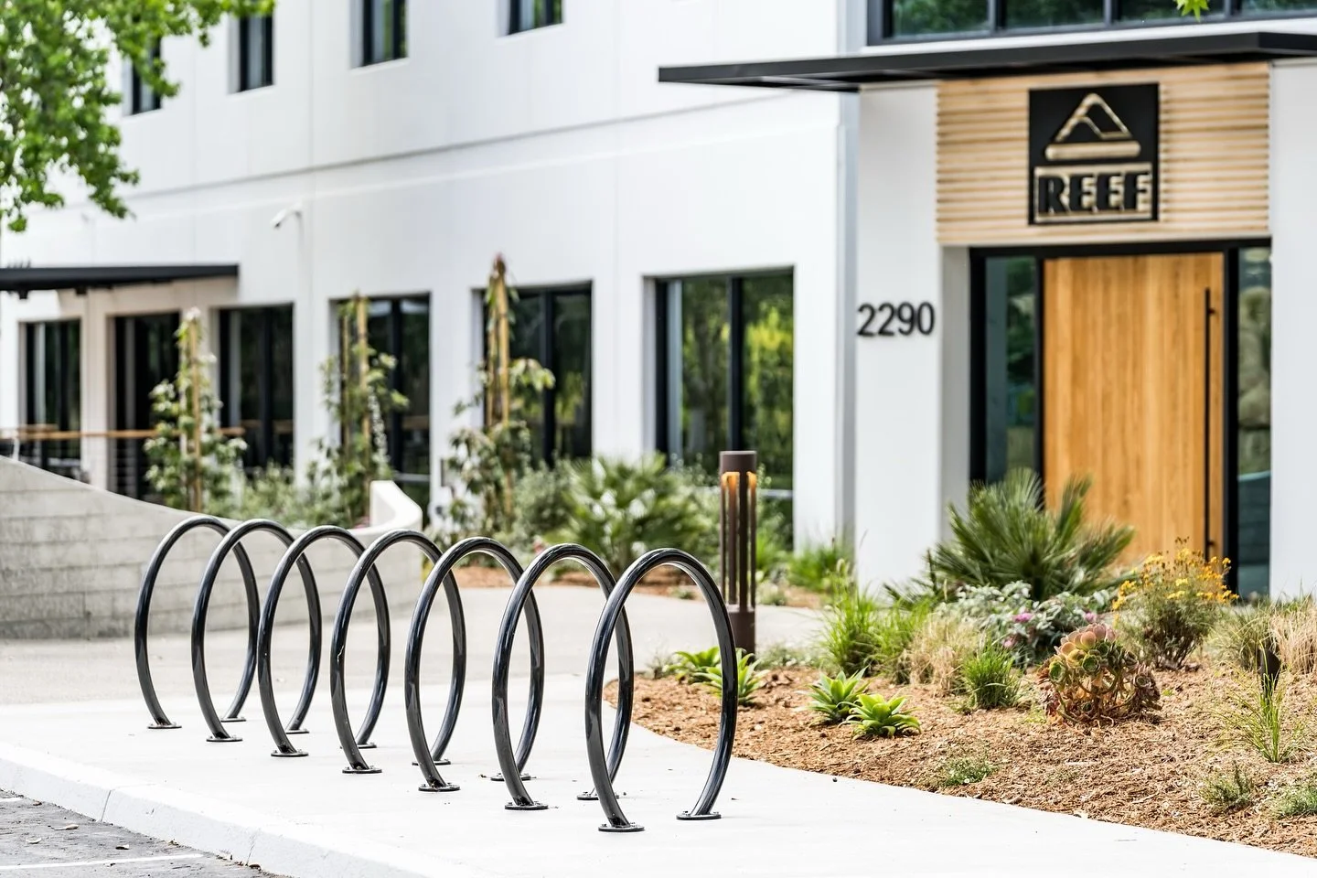 When REEF was looking to expand, we were grateful to be a part of their journey. This building is now a creative hub where the REEF team can be in one space to facilitate collaboration. This project is one of our favorites because it is a great align