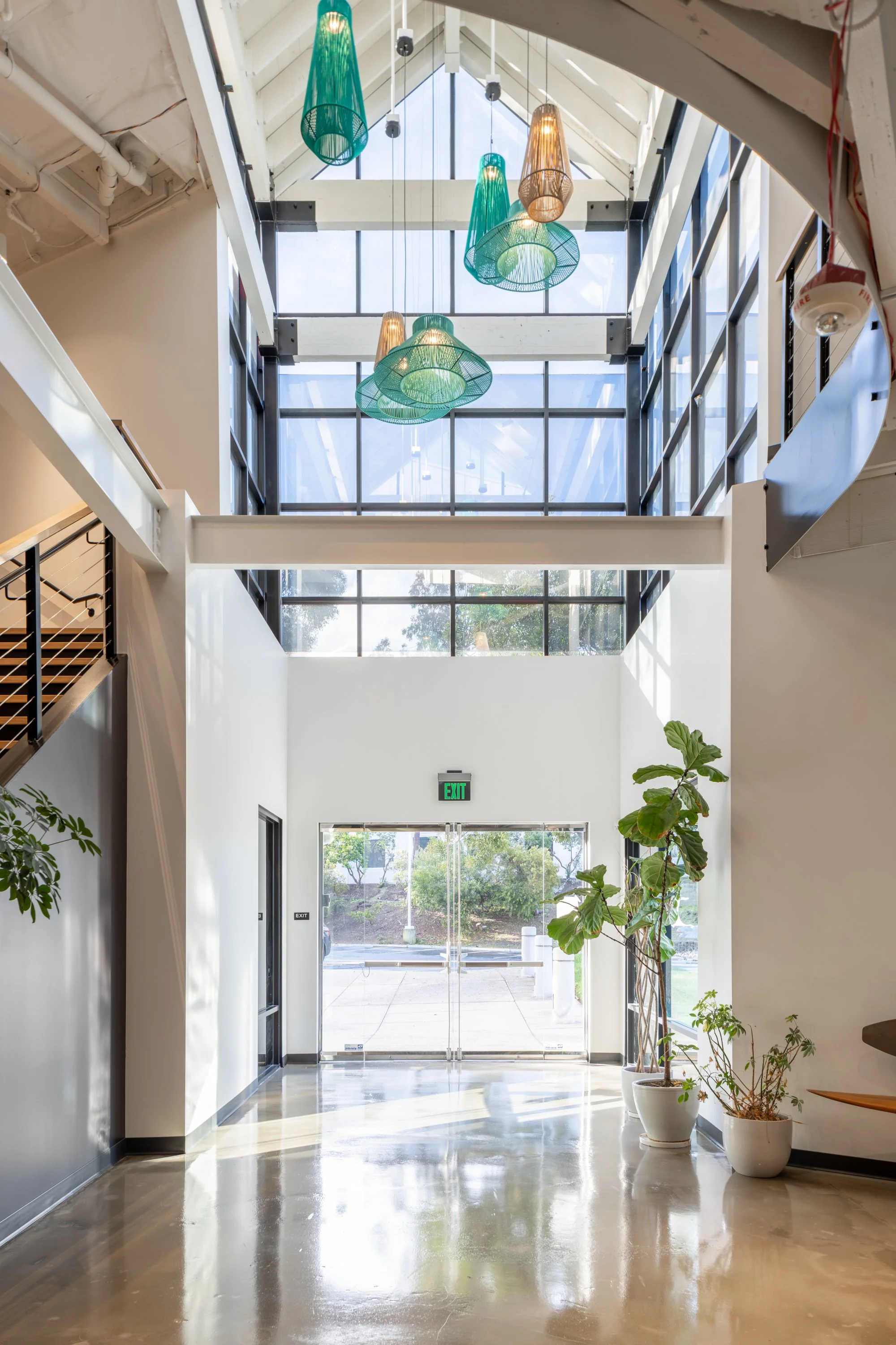 C2 - Reef-9.jpg