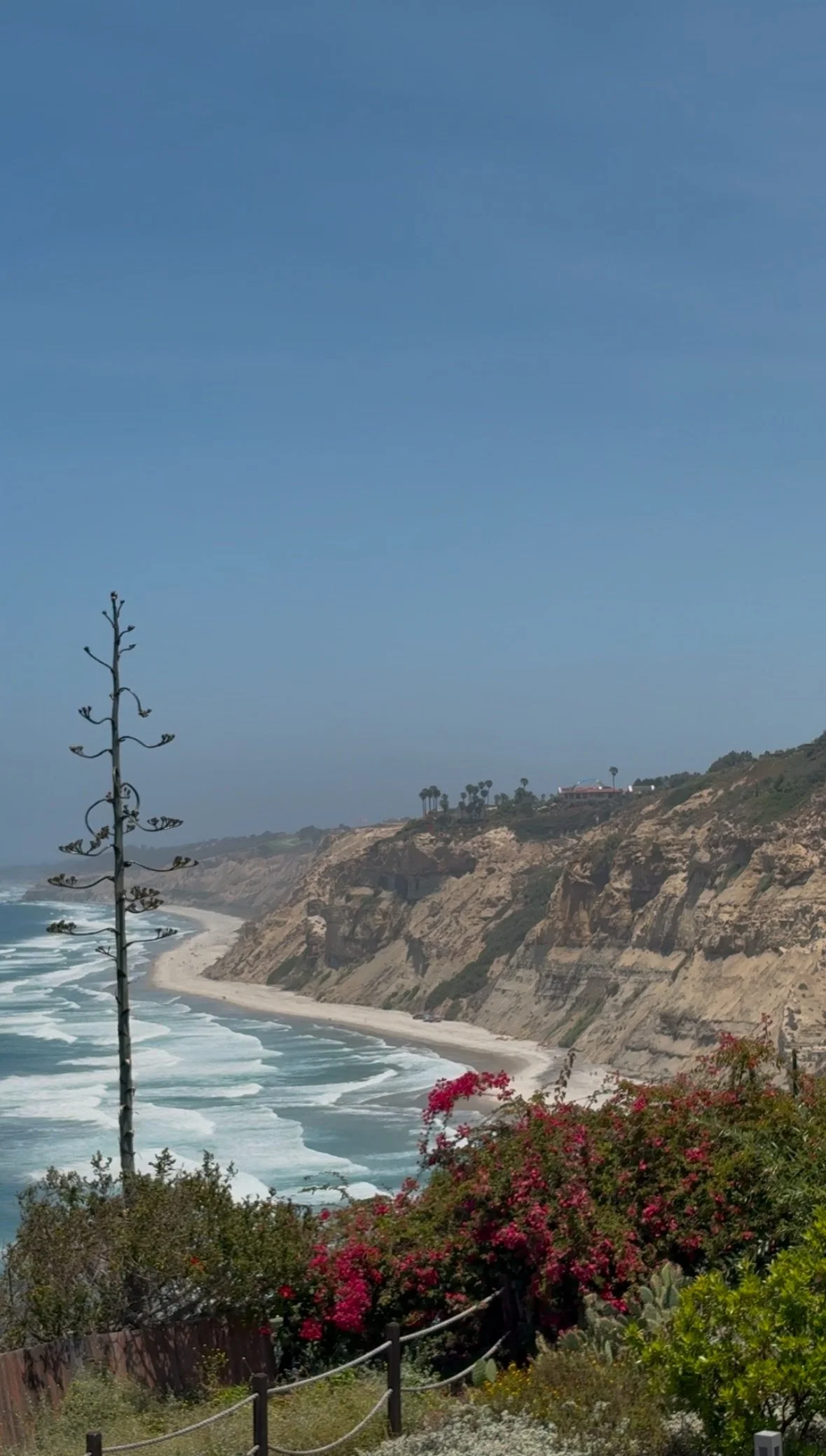 La Jolla View.jpeg