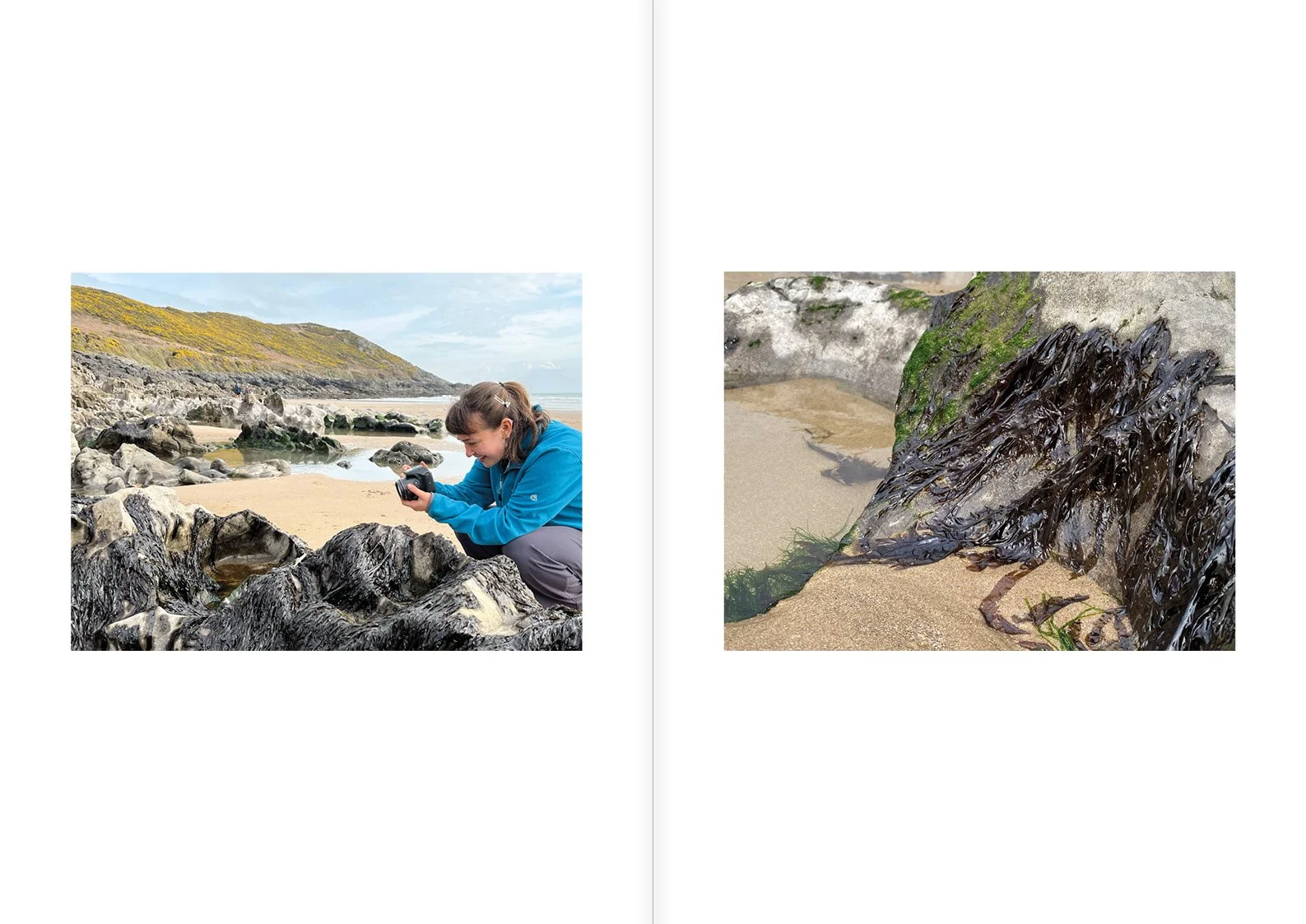 rock-pool journal4.jpg