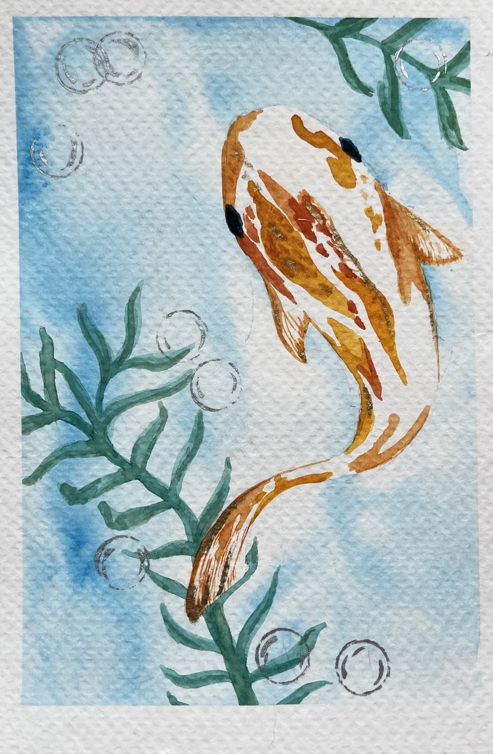 Speckled Koi (4''x6'')