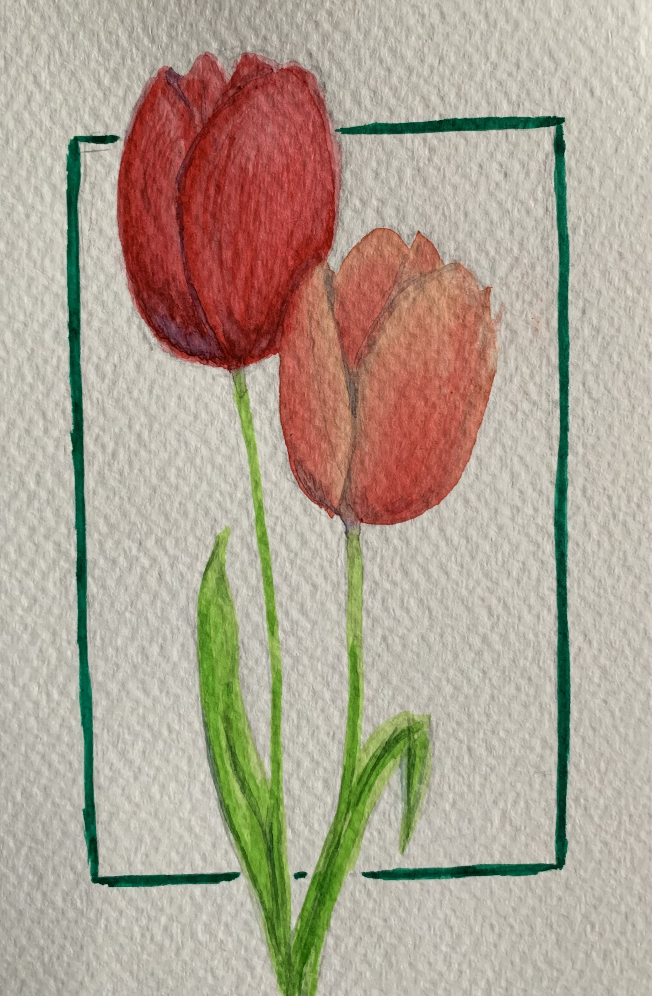 Spring Tulips (4''x6'')