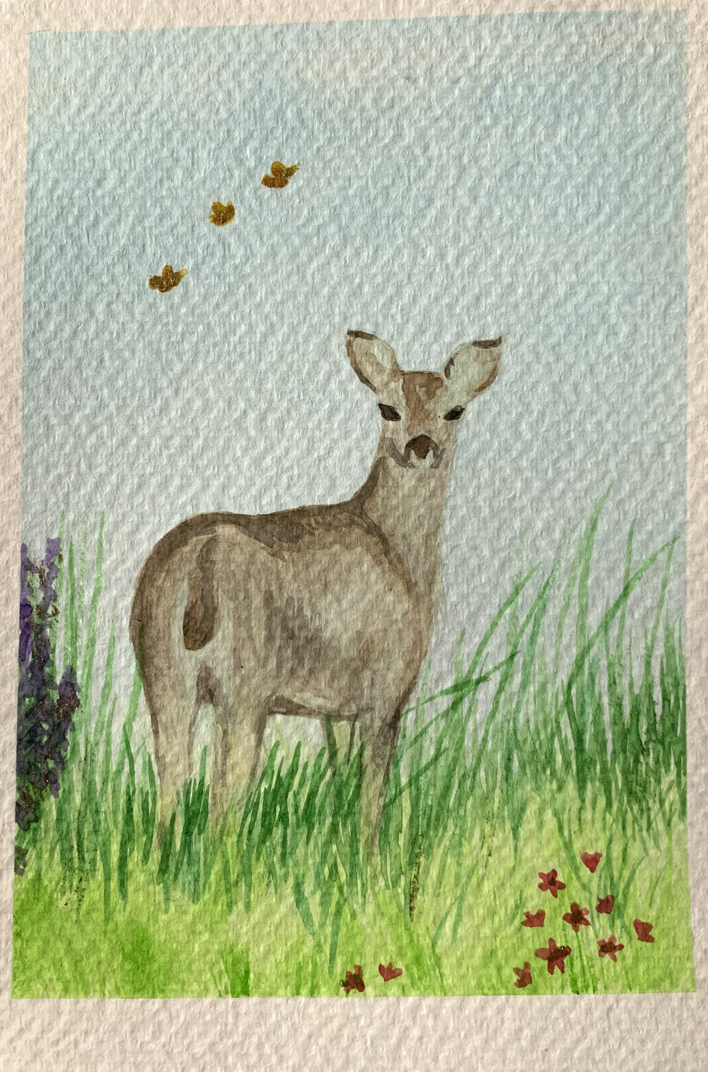 Deer in Grass (4''x6'')