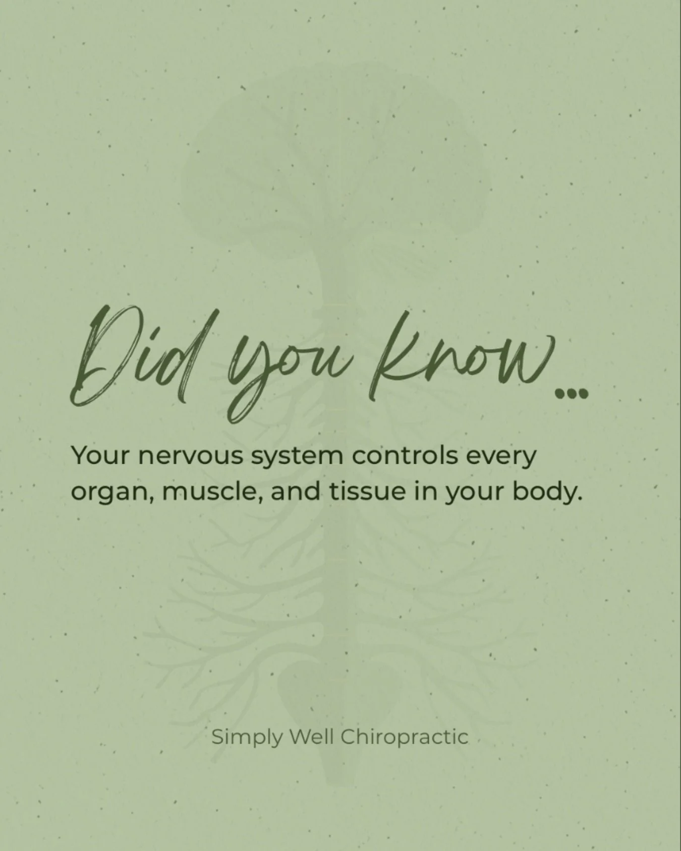 Your brain and spinal cord communicate with your entire body through the nervous system.
That&rsquo;s why chiropractic care focuses on spinal function, it plays a role in how your body adapts, moves, and responds to daily stress.

#nervousystemfuncti