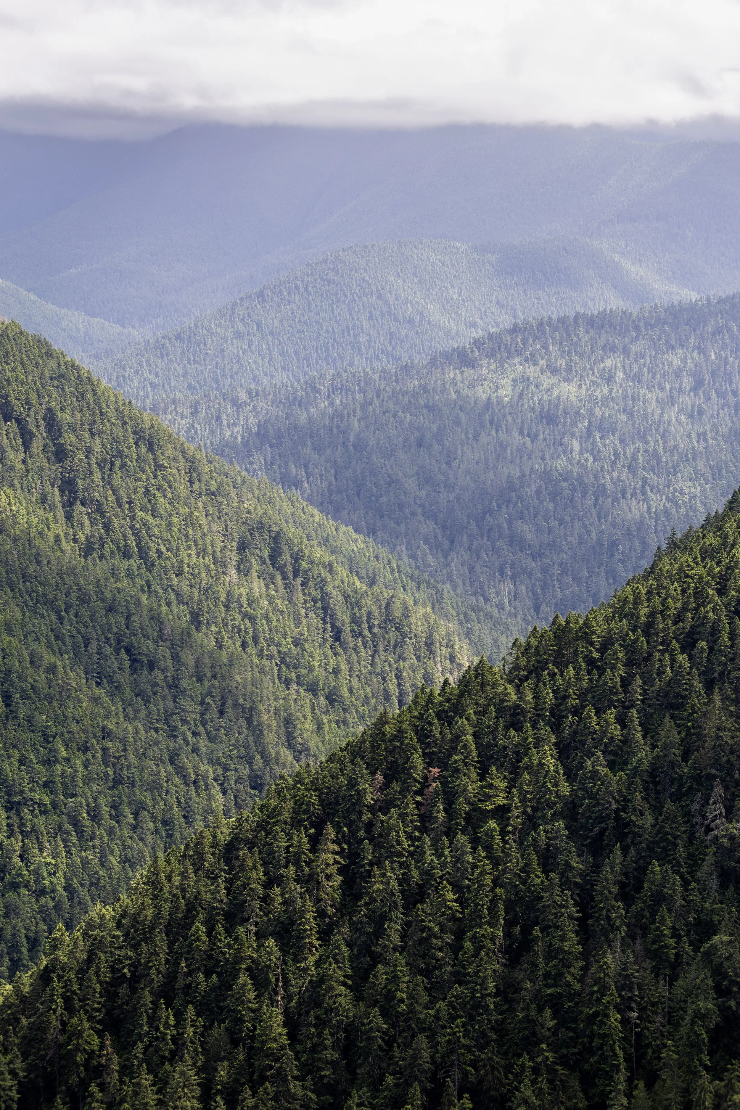 olympic national park