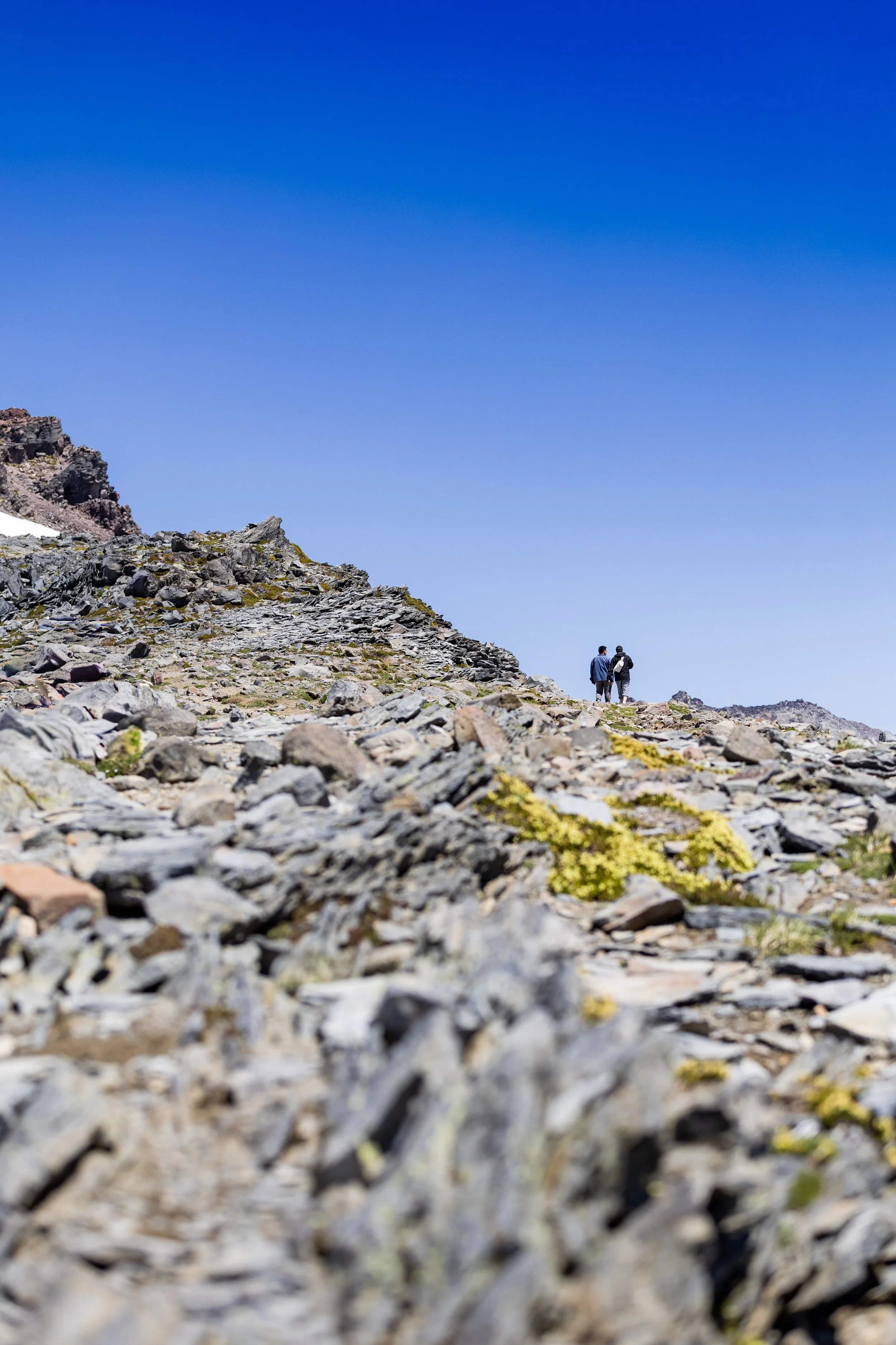 skyline trail