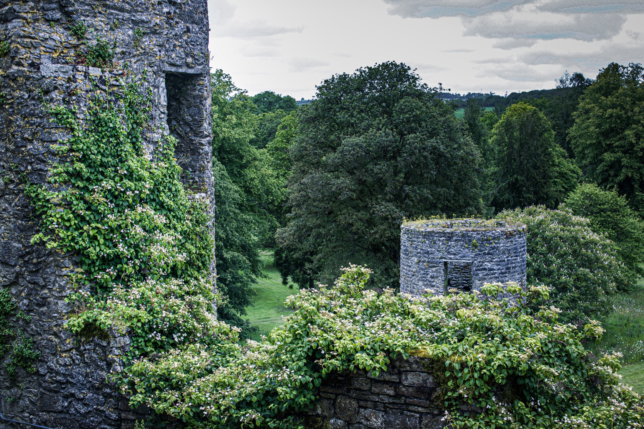 Blarney Castle Walls