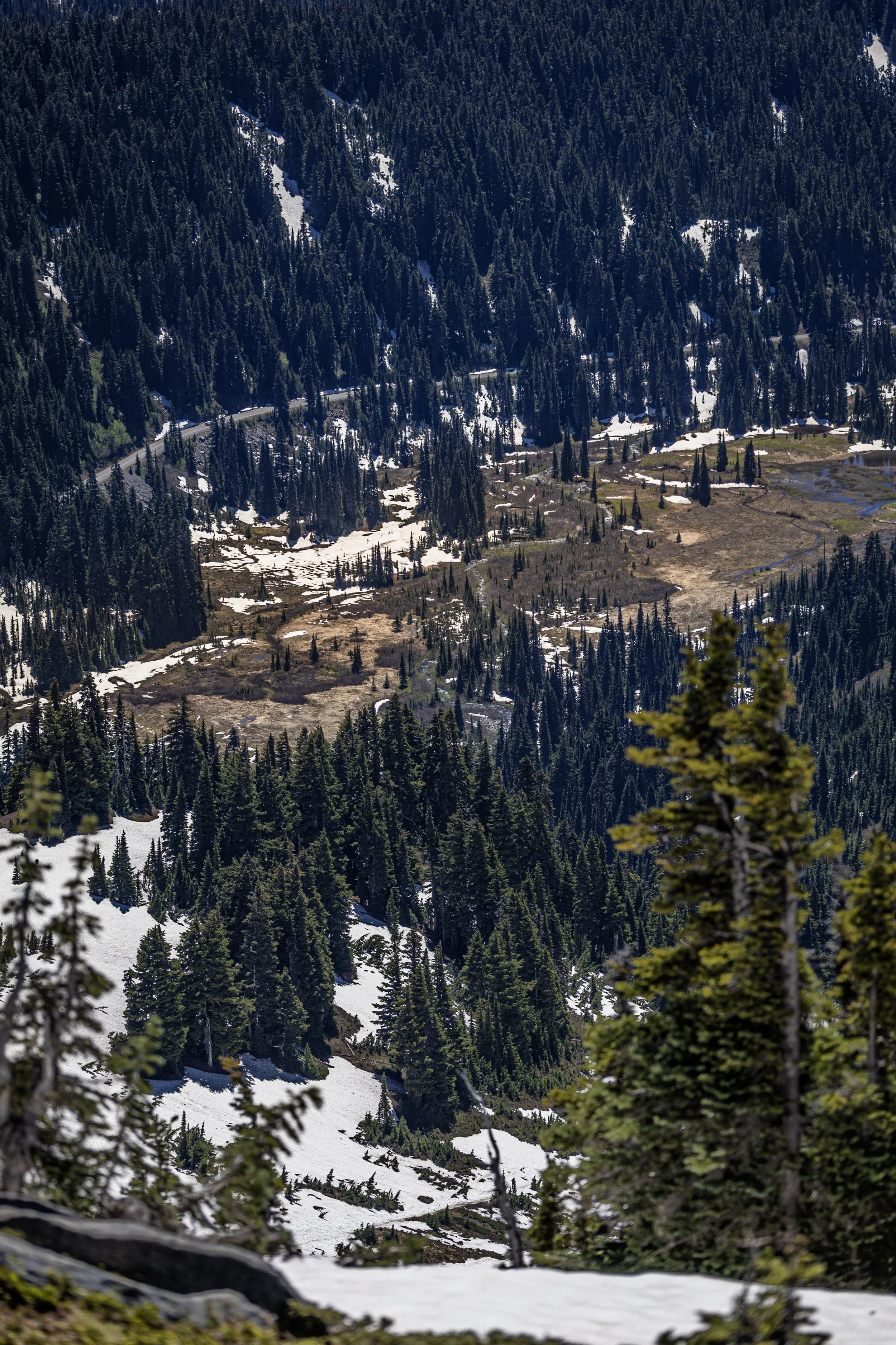 skyline trail