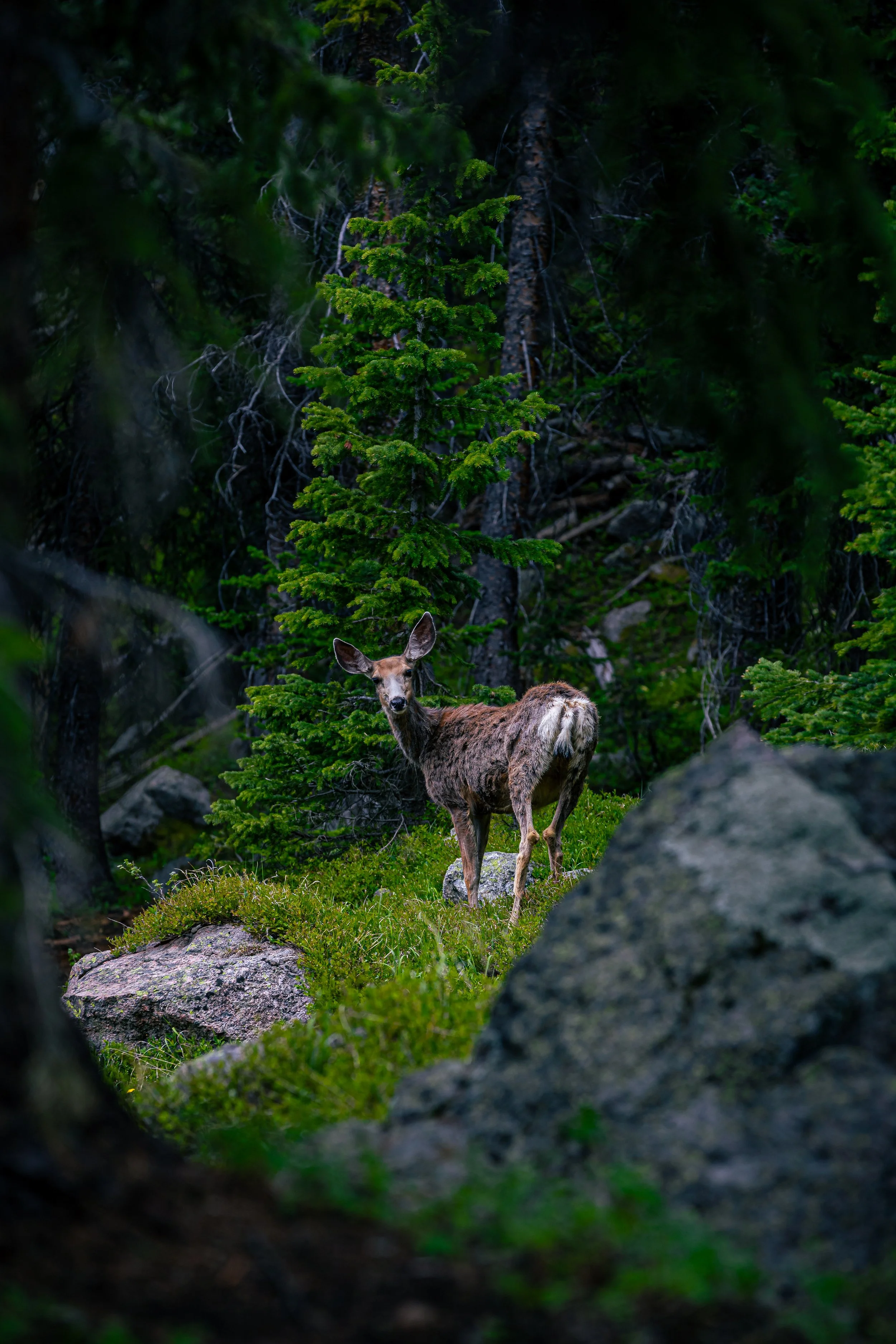 _08A7644.jpg