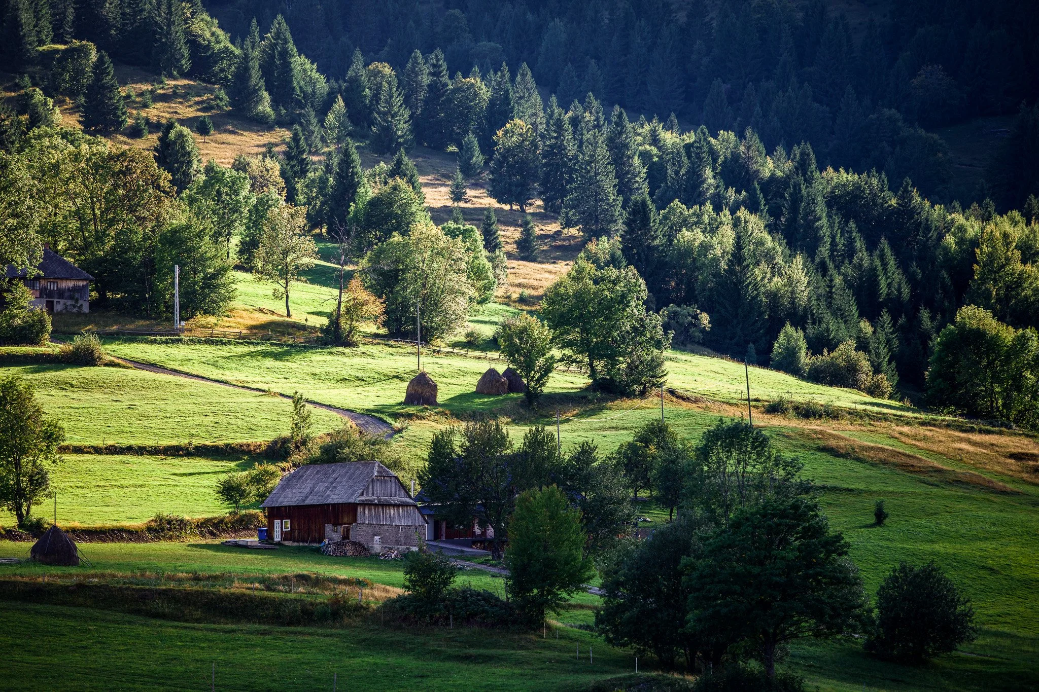Rogojel, Romania Print