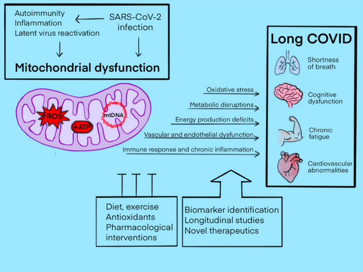 Long COVID Graphic