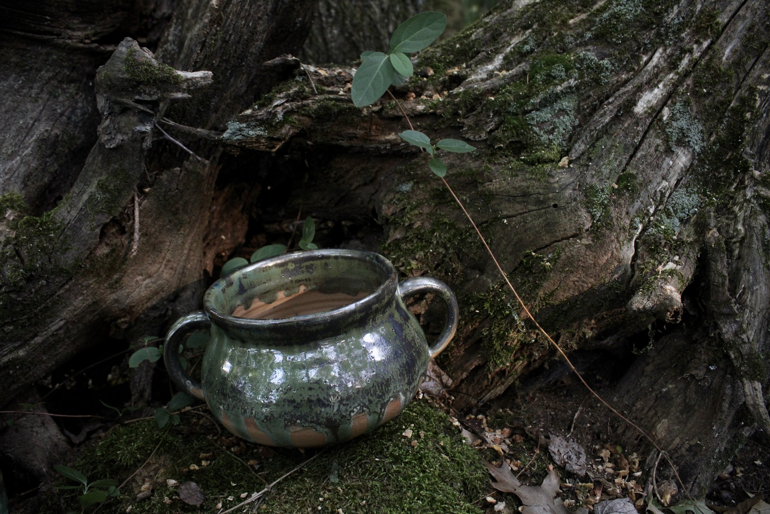5D3F3A09-C847-4D15-A27B-688EAA7749C0_1_201_a.jpeg