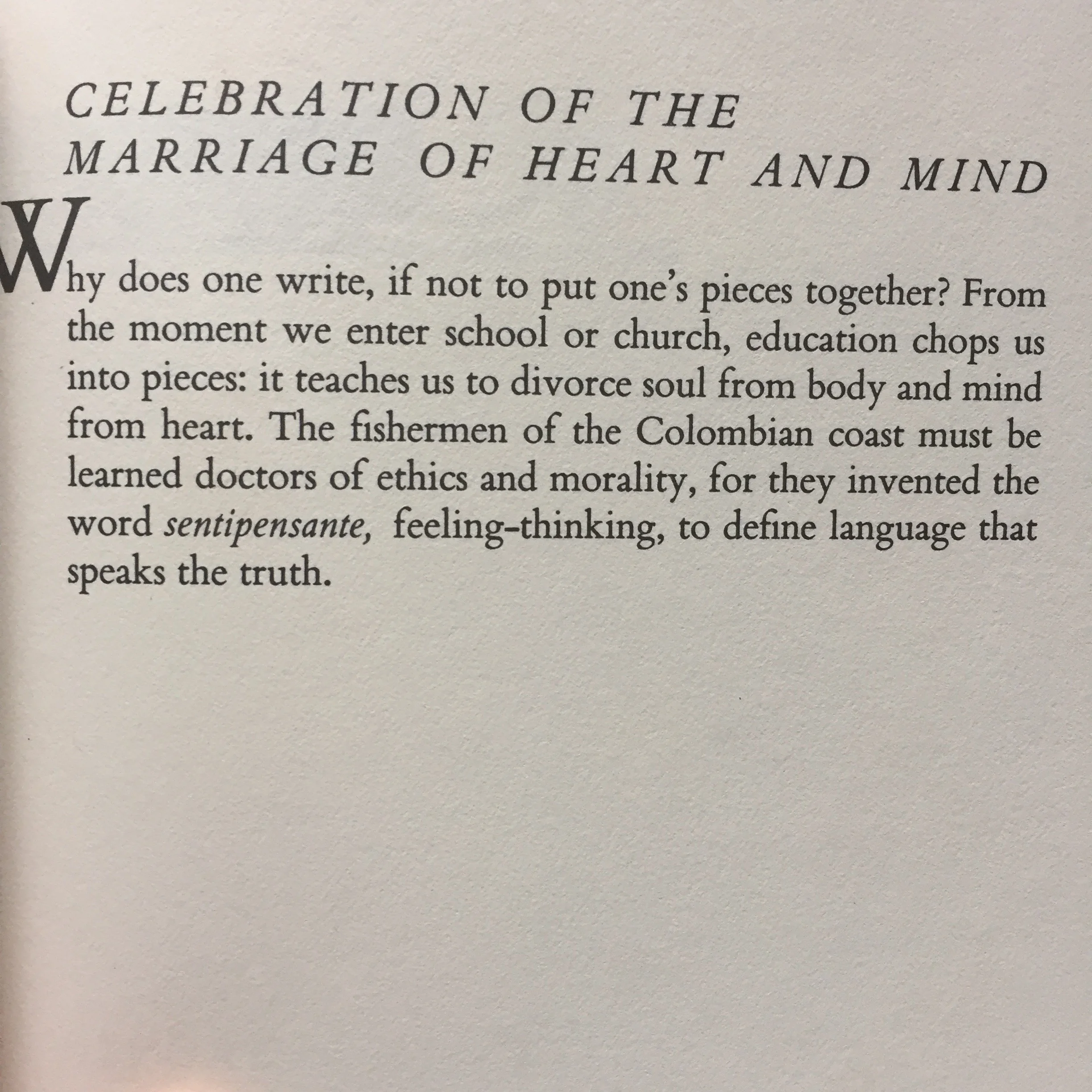 Waxing Poetic after Seeing New Images of the Thoracolumbar Aponeurosis