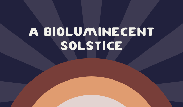 A Bioluminecent Solstice