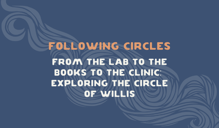 Following Circles: from the Lab to the Books to the Clinic, Exploring the Circle of Willis
