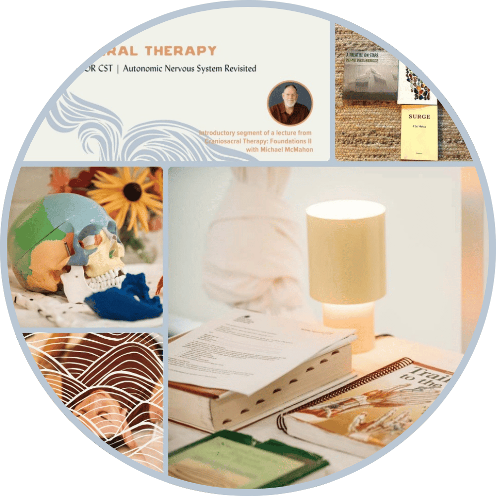 A collection of medical and educational items, including a human skull model, books on therapy and physiology, documents, and a lamp on a desk.