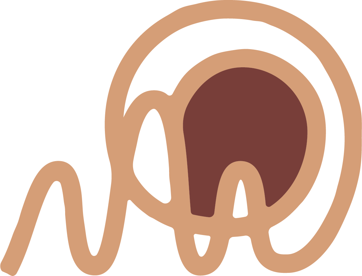 A simplified illustration of a human ear's cross-section showing the outer ear, ear canal, eardrum, and the cochlea in the inner ear.