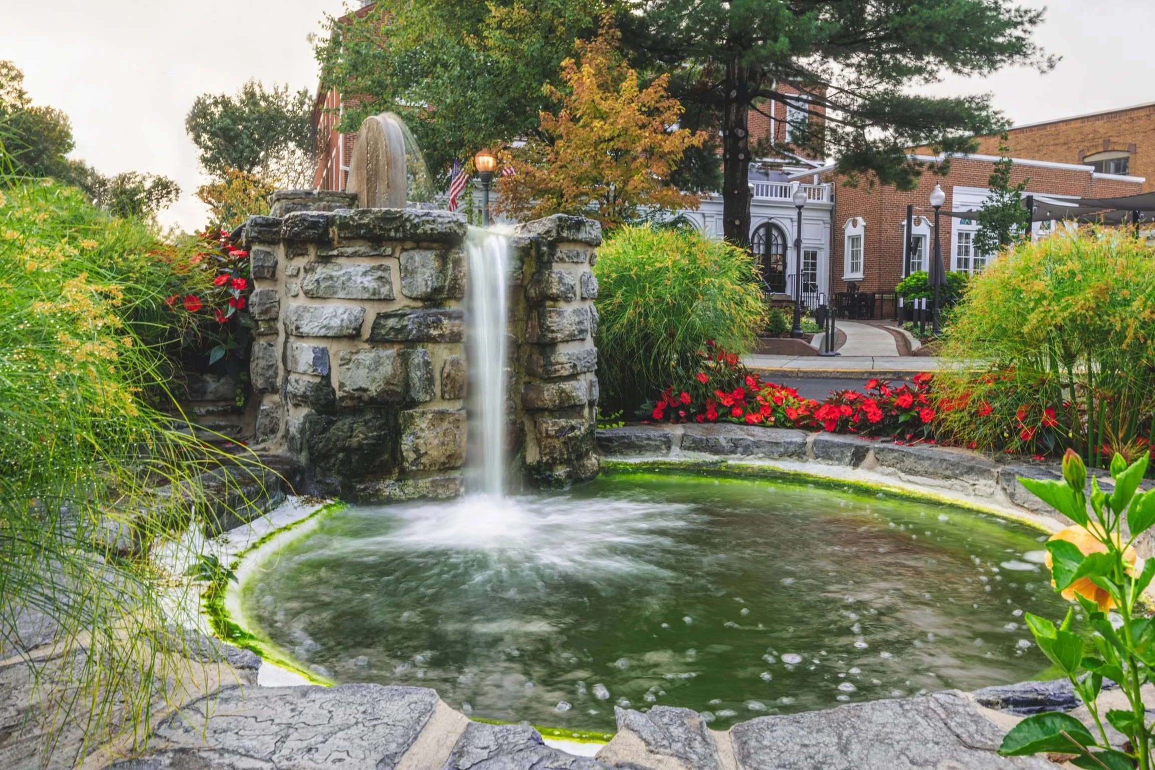 Spring has Sprung at the Springs!