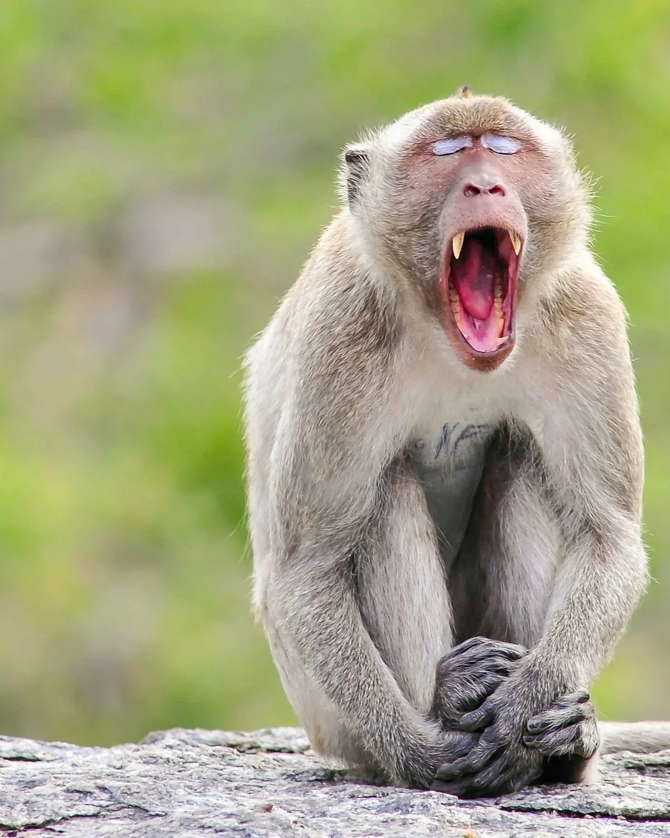 Part 6: The Cognitive Call-Out